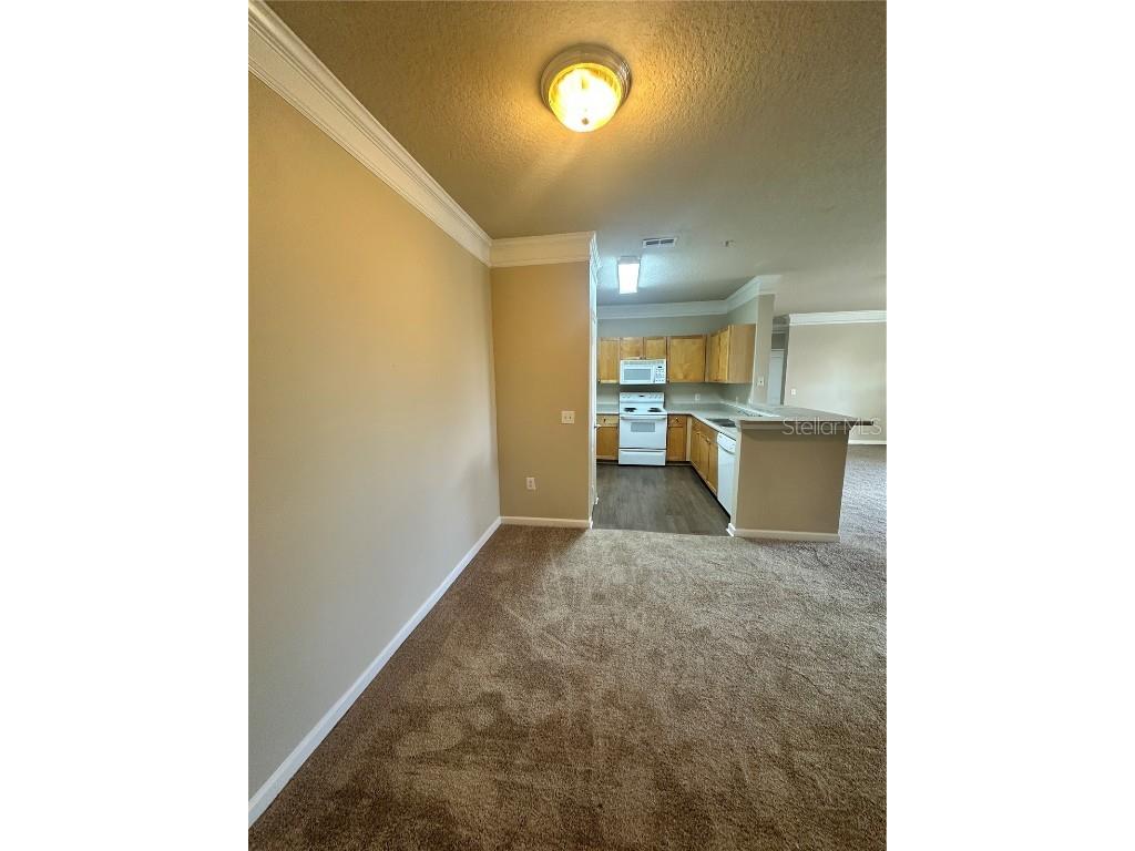 8849 Villa View Circle #306 Orlando FL 32821 O6293341 image2