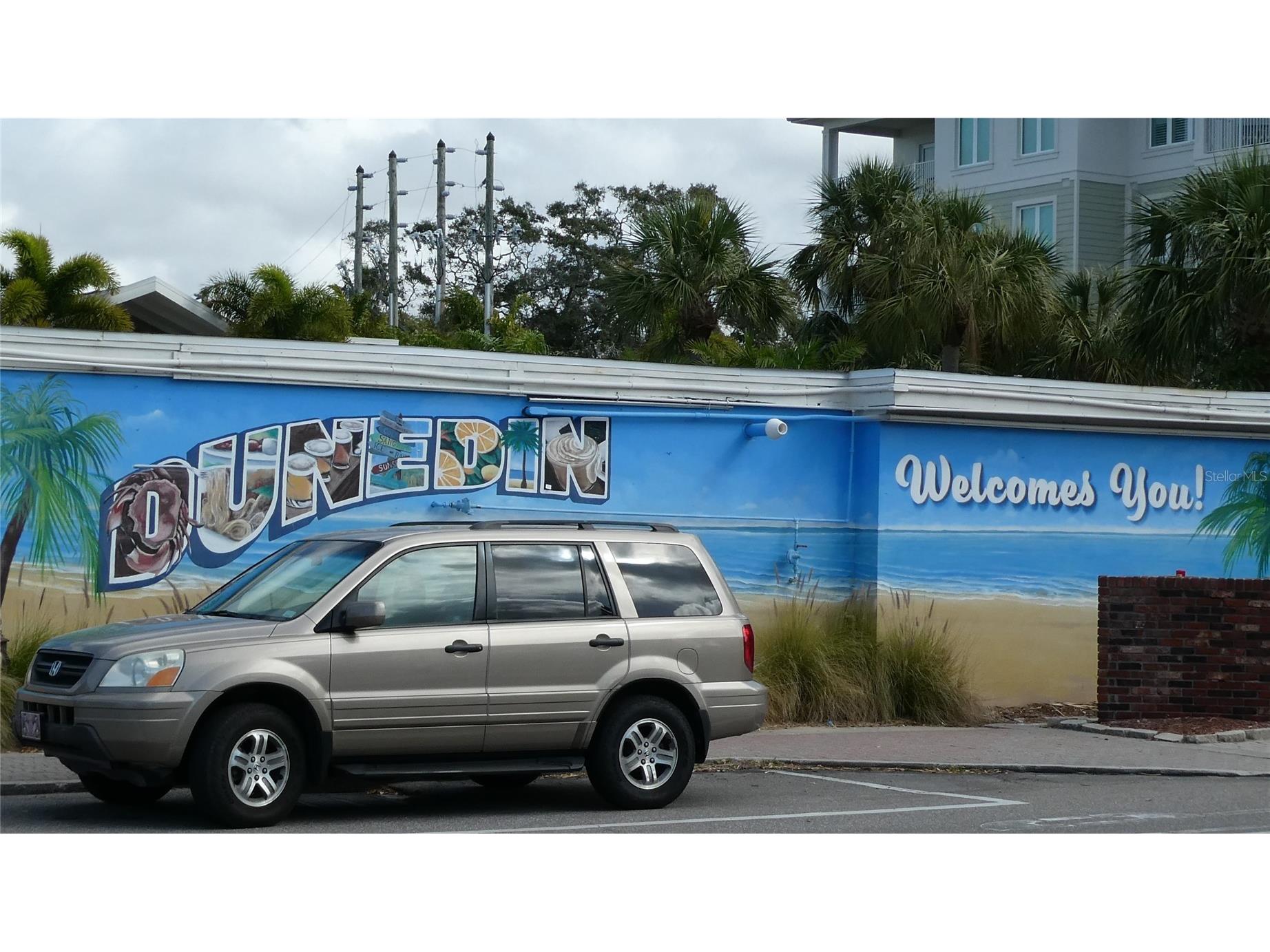 885 Beltrees Street #12 Dunedin FL 34698 TB8506535 image13