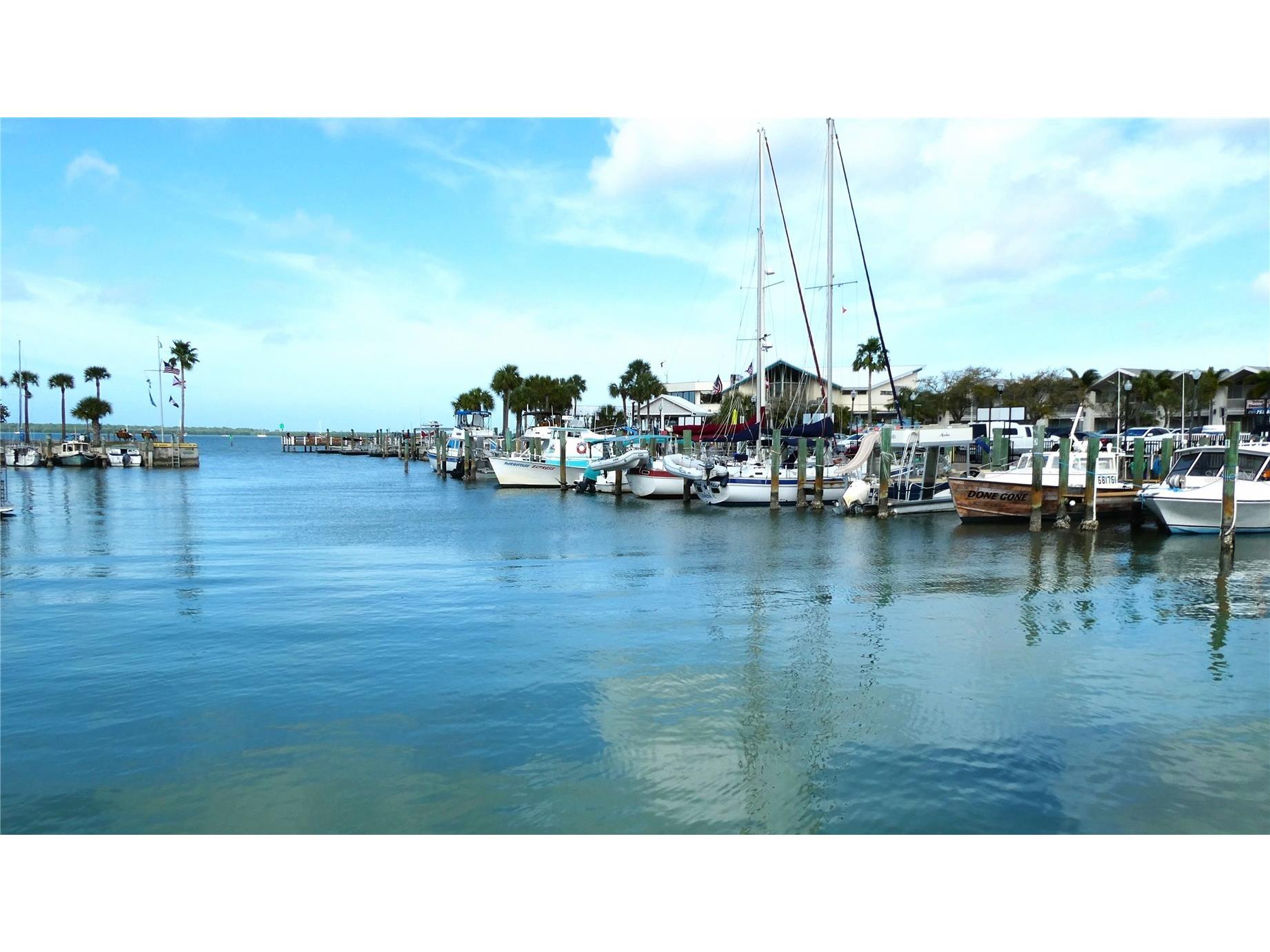 885 Beltrees Street #12 Dunedin FL 34698 TB8506535 image14