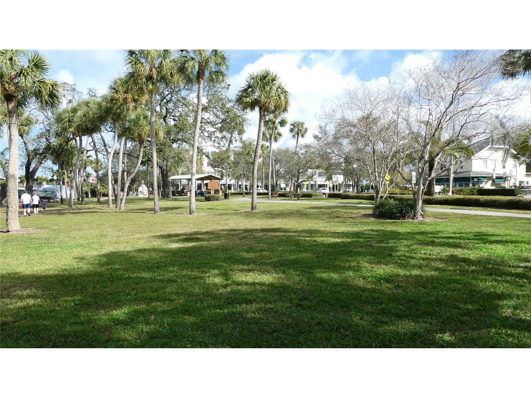 885 Beltrees Street #12 Dunedin FL 34698 TB8506535 image17