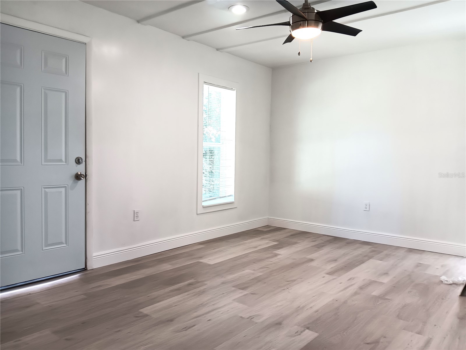 885 Beltrees Street #15 Dunedin FL 34698 TB8502215 image2