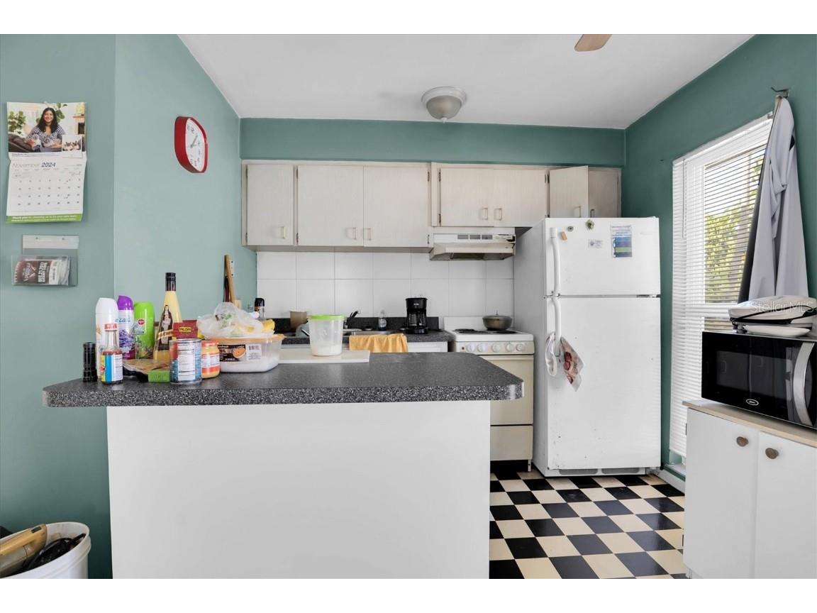 885 Beltrees Street Dunedin FL 34698 TB8325784 image15