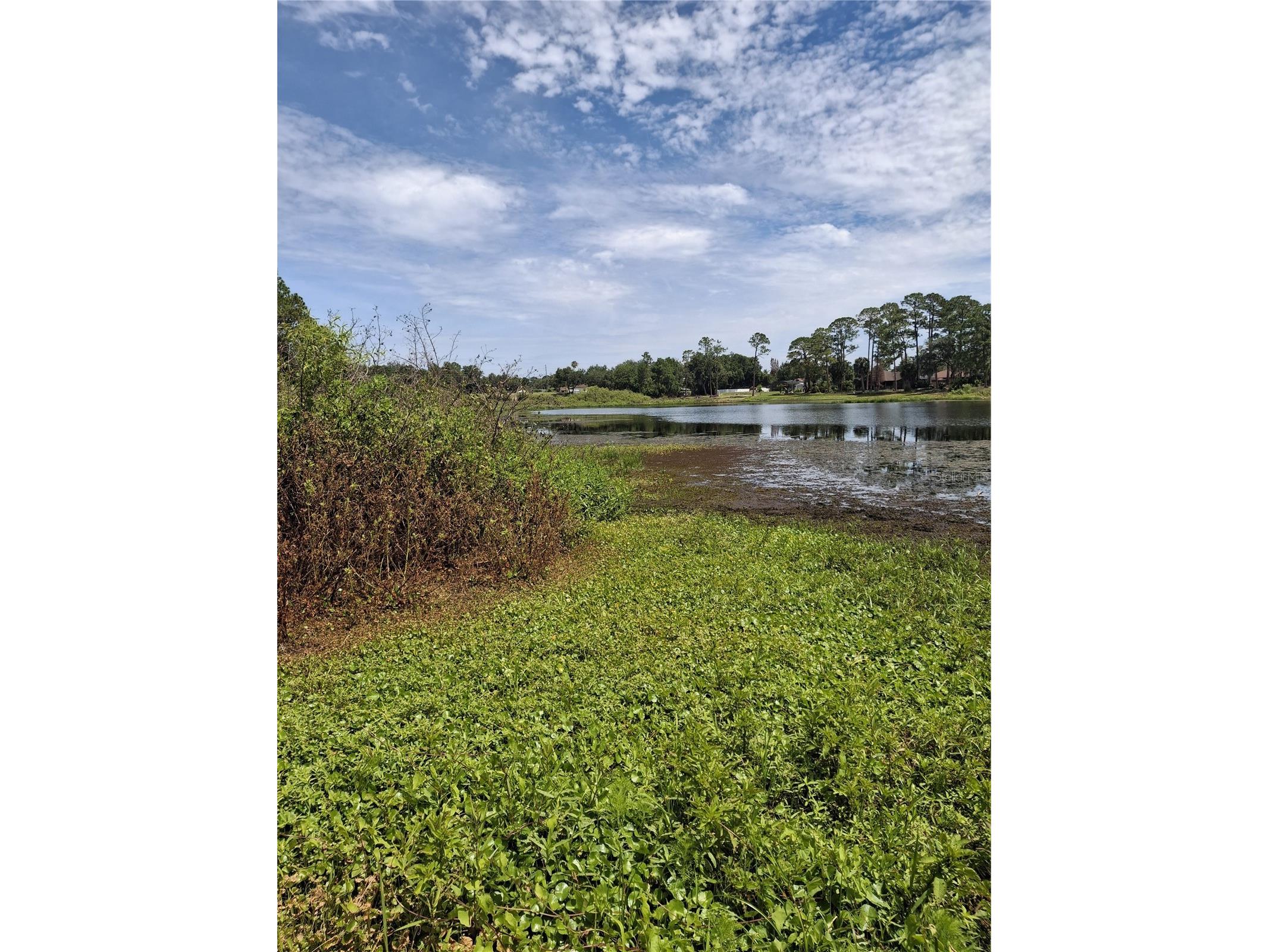 885 E Lehigh Drive Deltona FL 32738 V4949703 image1