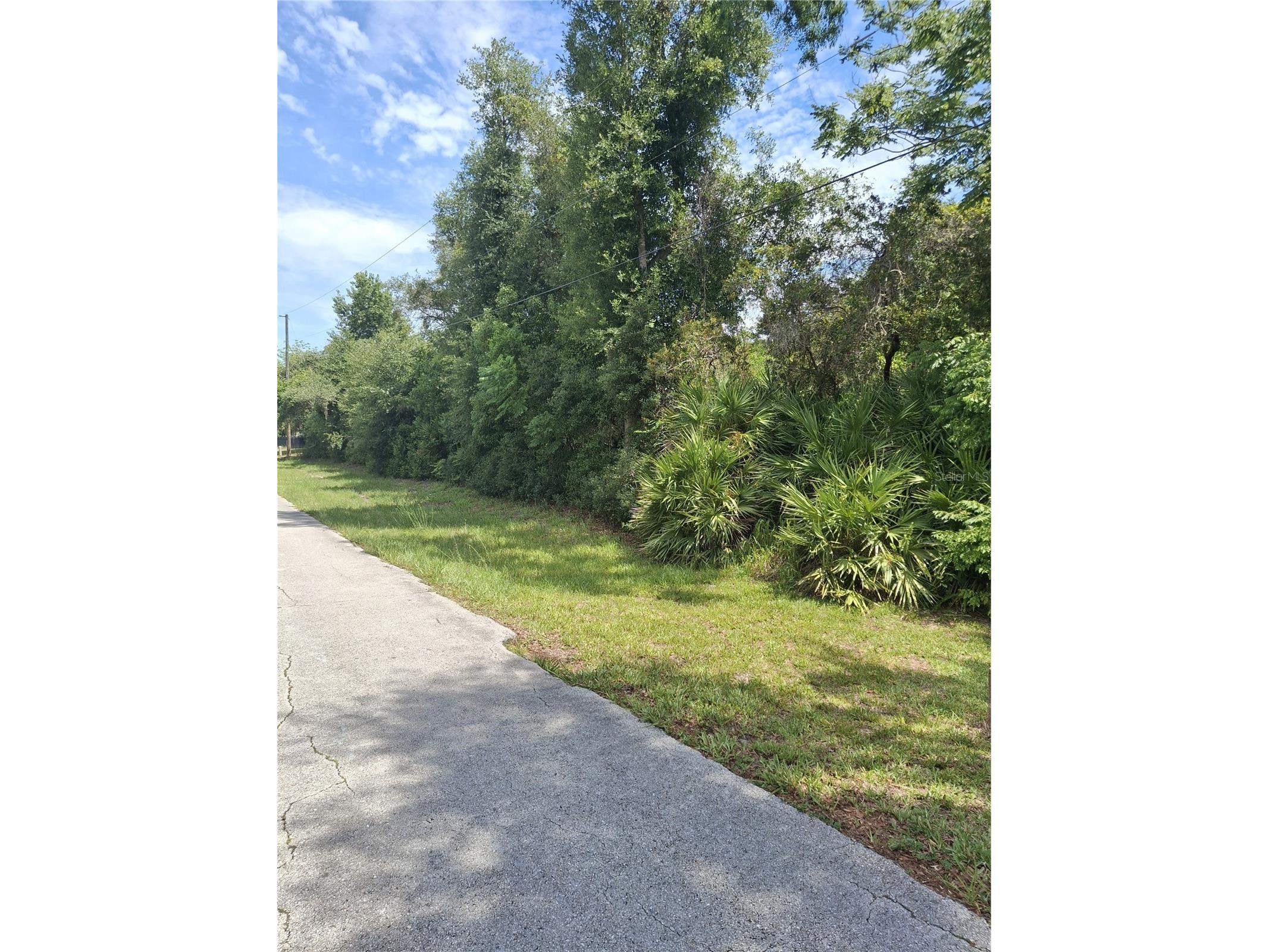 885 E Lehigh Drive Deltona FL 32738 V4949703 image2