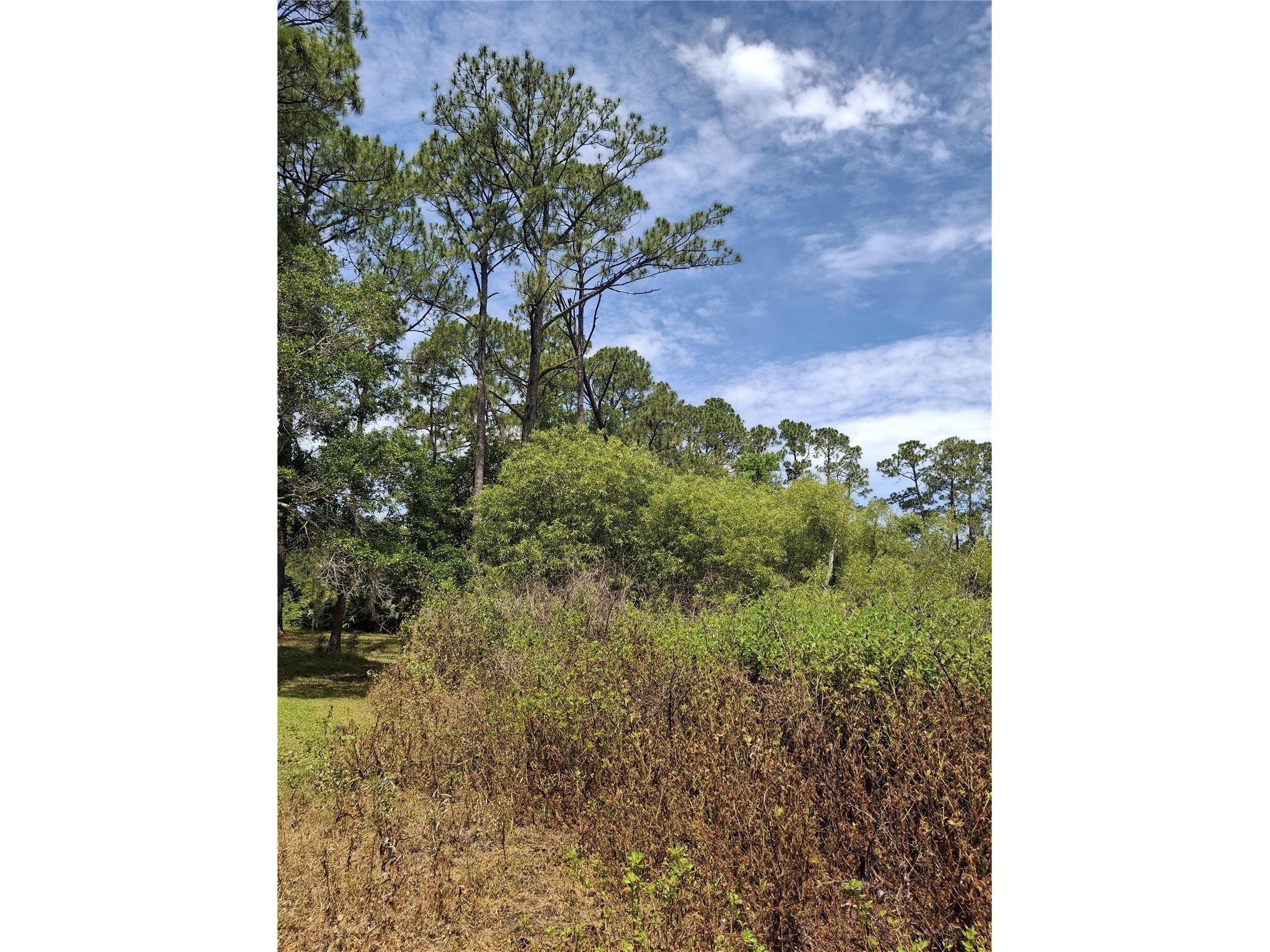 885 E Lehigh Drive Deltona FL 32738 V4949703 image3