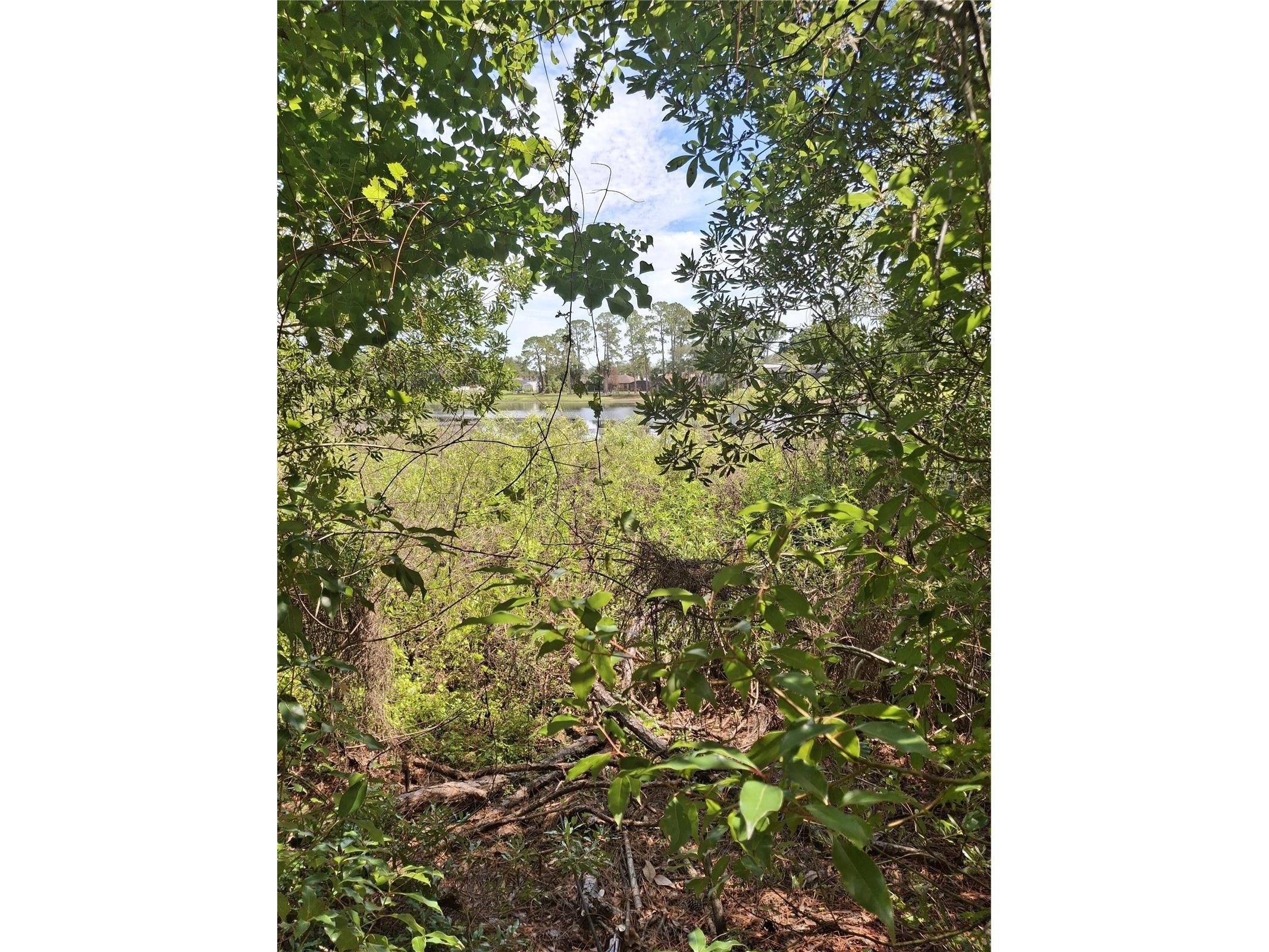 885 E Lehigh Drive Deltona FL 32738 V4949703 image5