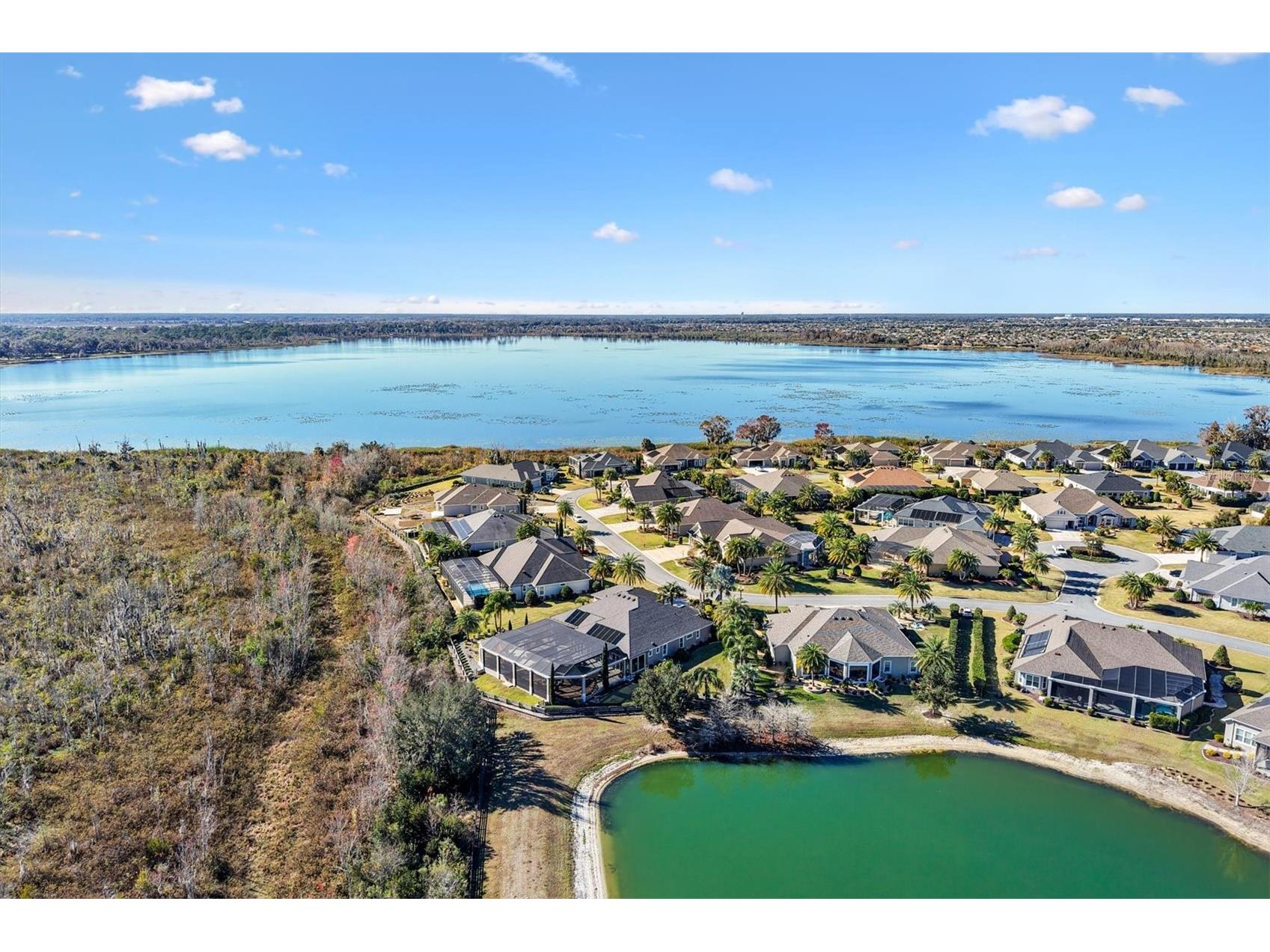 885 Iron Oak Way The Villages FL 32163 OM717593 image62