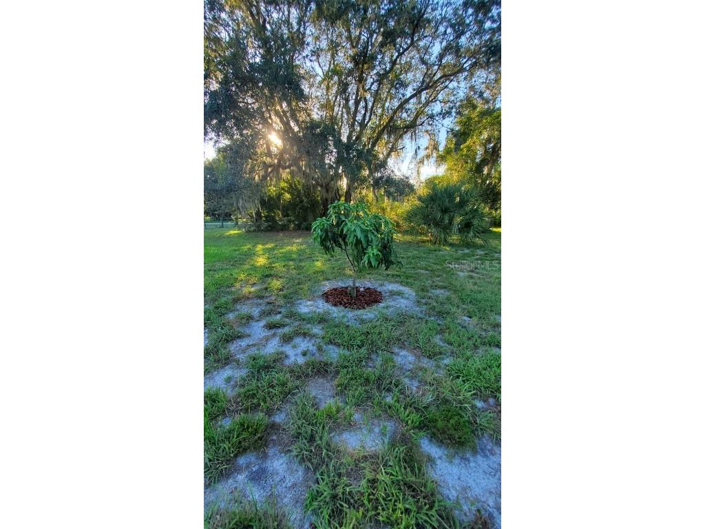 885 Lake Marian Road Kenansville FL 34739 O6346914 image8