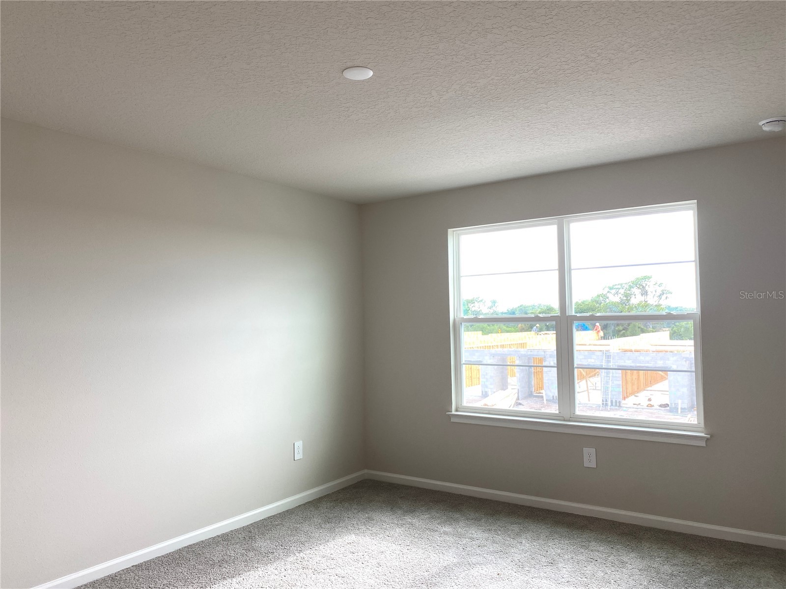 8850 Ginko Run Parrish FL 34219 A4694563 image11