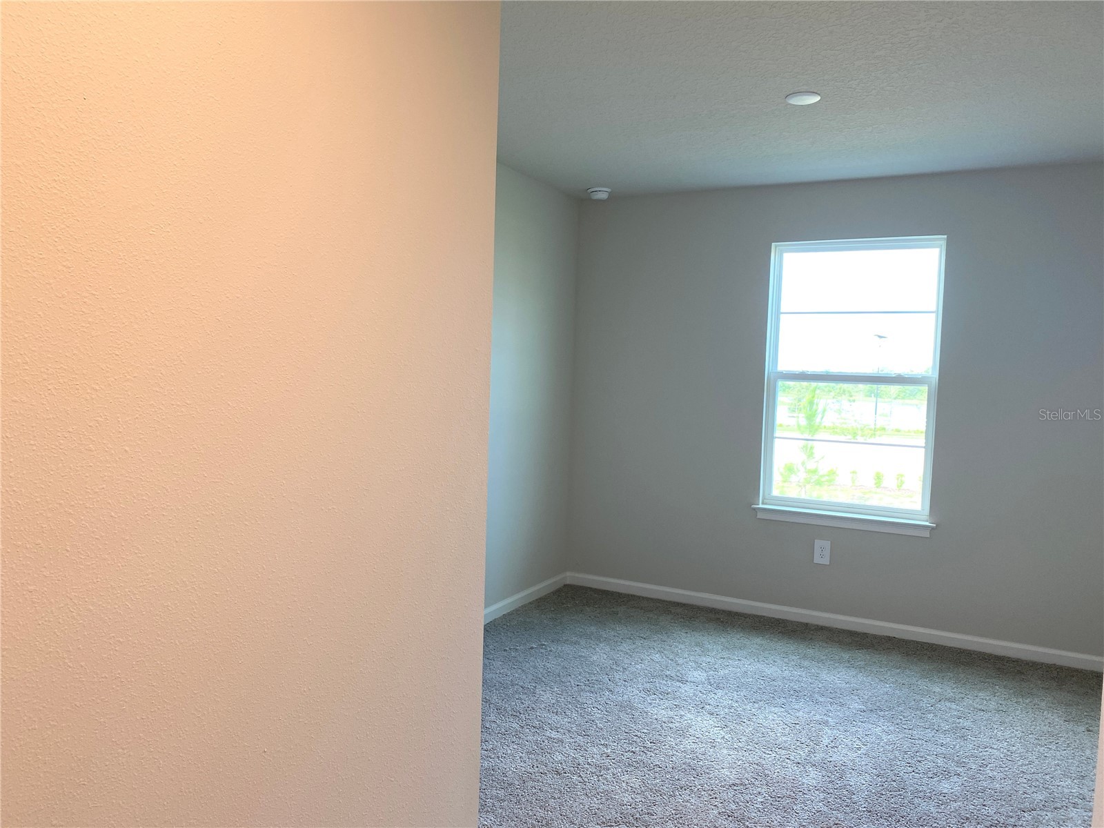 8850 Ginko Run Parrish FL 34219 A4694563 image19
