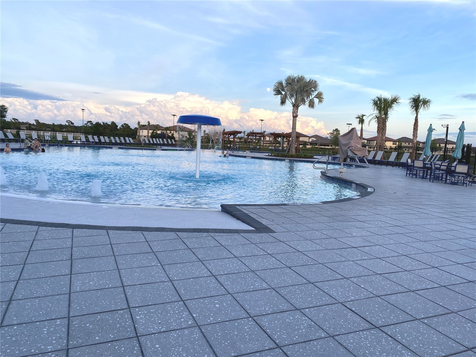 8850 Ginko Run Parrish FL 34219 A4694563 image31