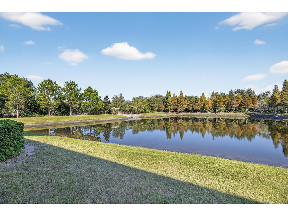 8850 Indigo Trail Loop Riverview FL 33578 TB8449731 image57