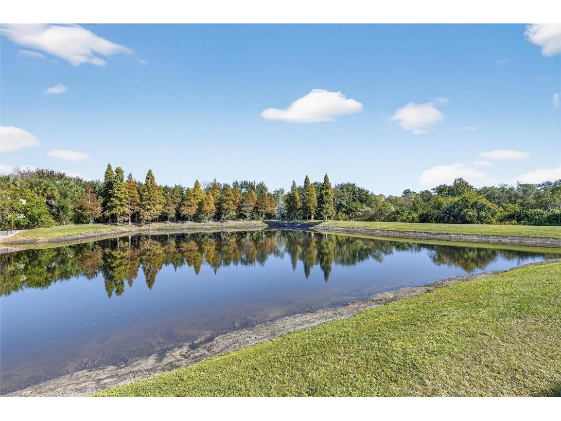 8850 Indigo Trail Loop Riverview FL 33578 TB8449731 image58