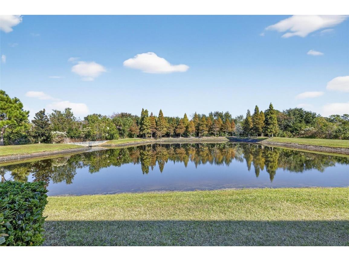 8850 Indigo Trail Loop Riverview FL 33578 TB8449731 image59