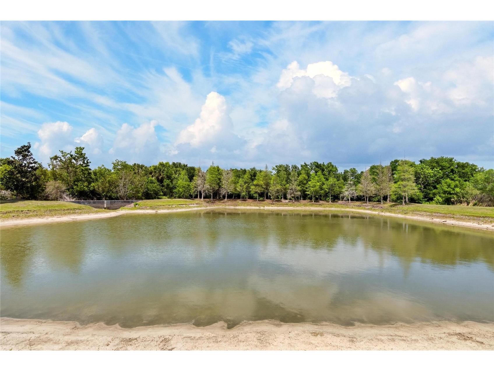 8850 Indigo Trail Loop Riverview FL 33578 TB8499232 image3