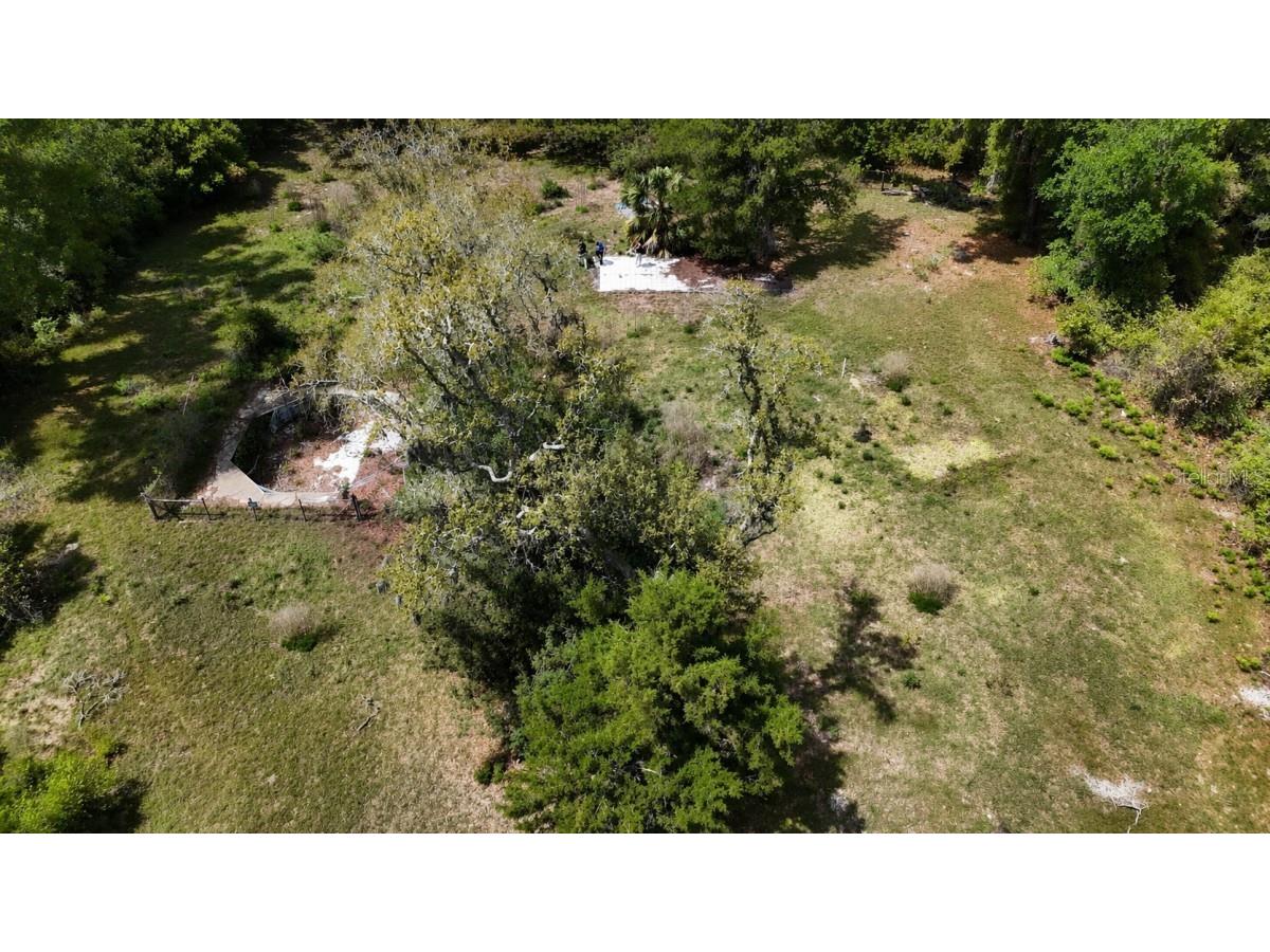 8850 NW 160th Street Fanning Springs FL 32693 A4690716 image3
