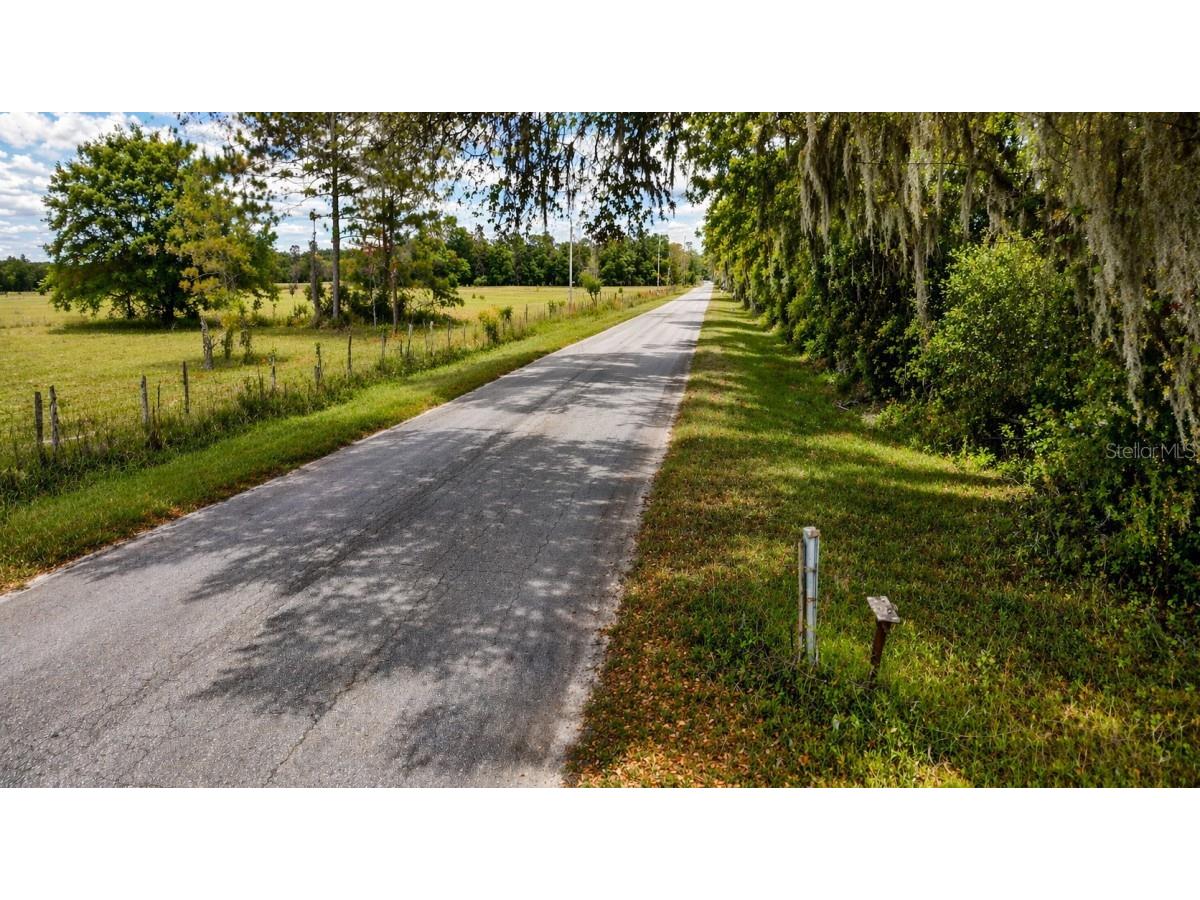 8850 NW 160th Street Fanning Springs FL 32693 A4690716 image4