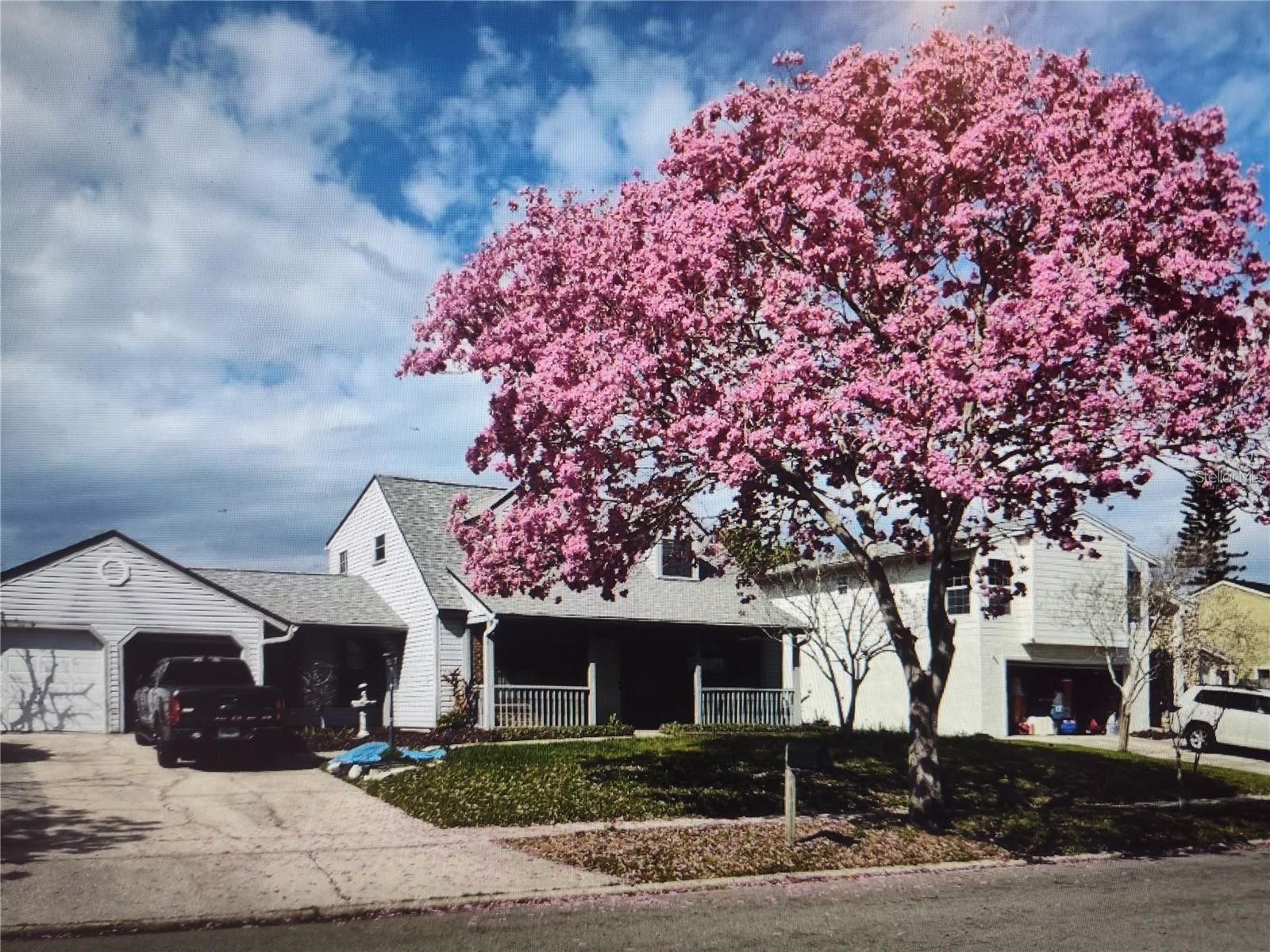 8850 Pine Bay Court Orlando FL 32825 O6386430 image3