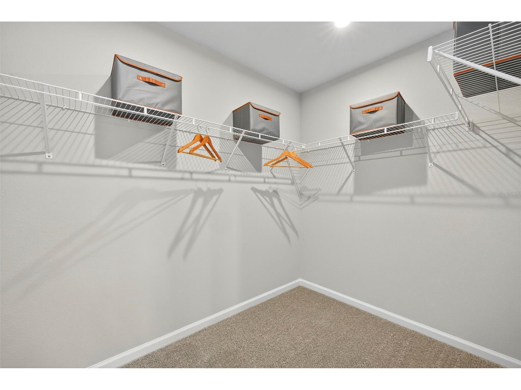 8851 Ginko Run Parrish FL 34219 TB8502214 image24