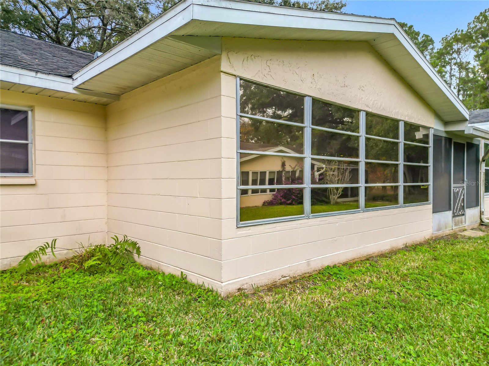 8851 SW 97th Street #B Ocala FL 34481 OM716995 image33