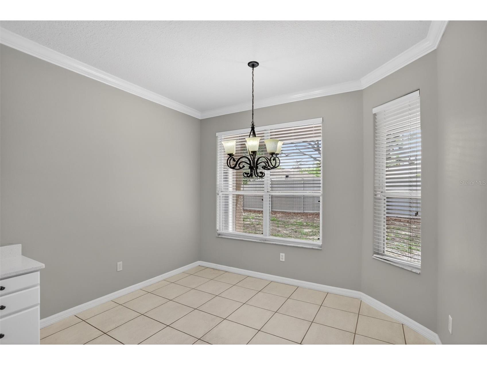 8852 Great Cove Drive Orlando FL 32819 O6396125 image20