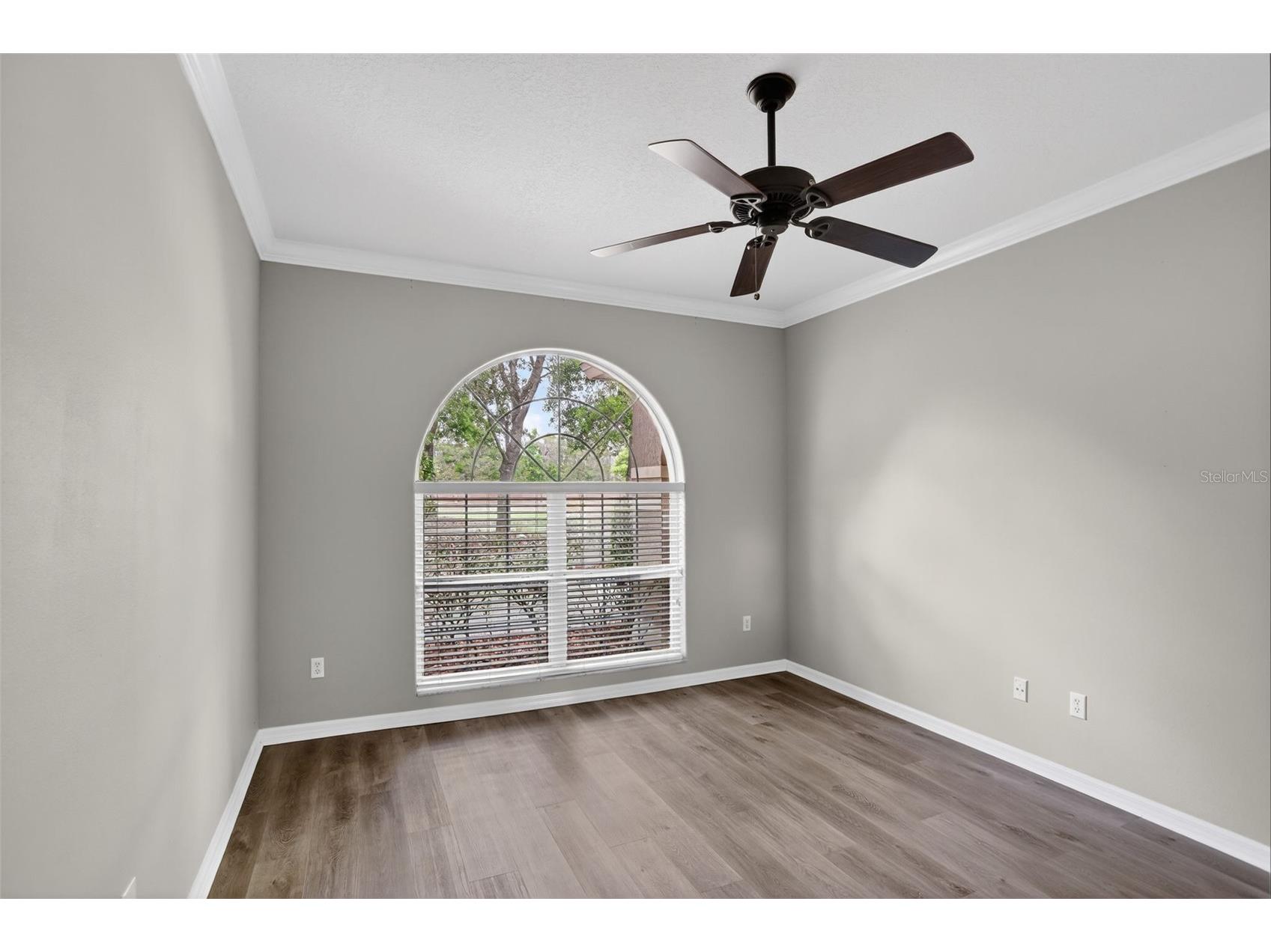 8852 Great Cove Drive Orlando FL 32819 O6396125 image21
