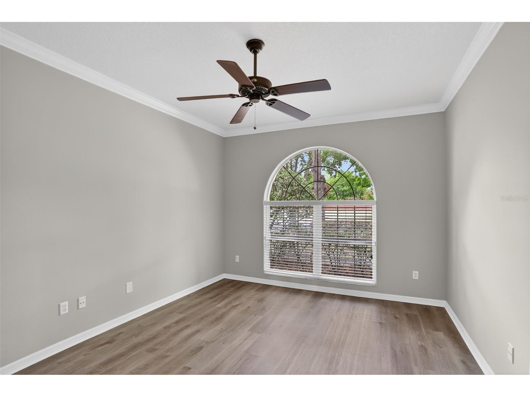8852 Great Cove Drive Orlando FL 32819 O6396125 image22