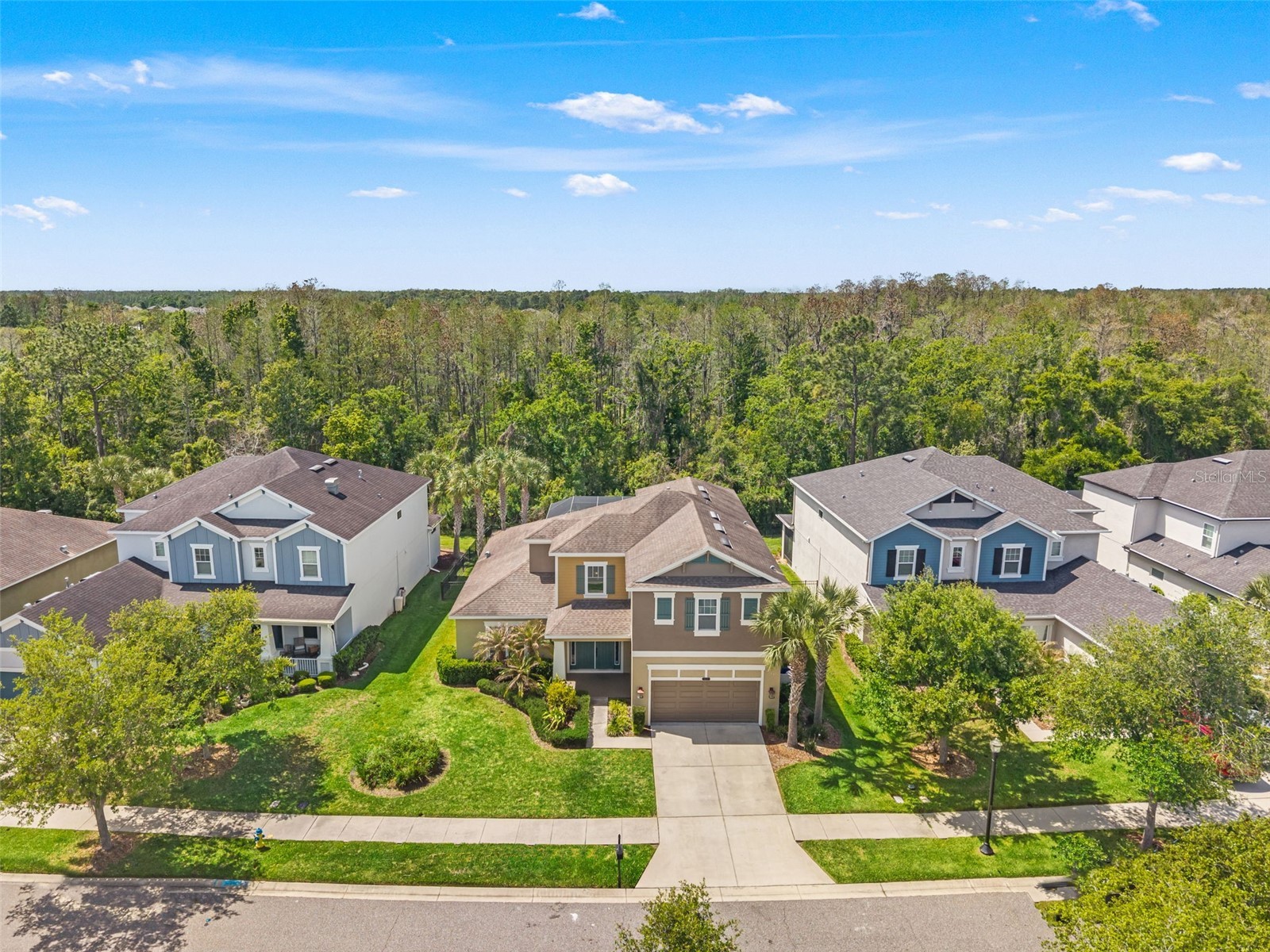 8853 Bella Vita Circle Land O Lakes FL 34637 W7884664 image51