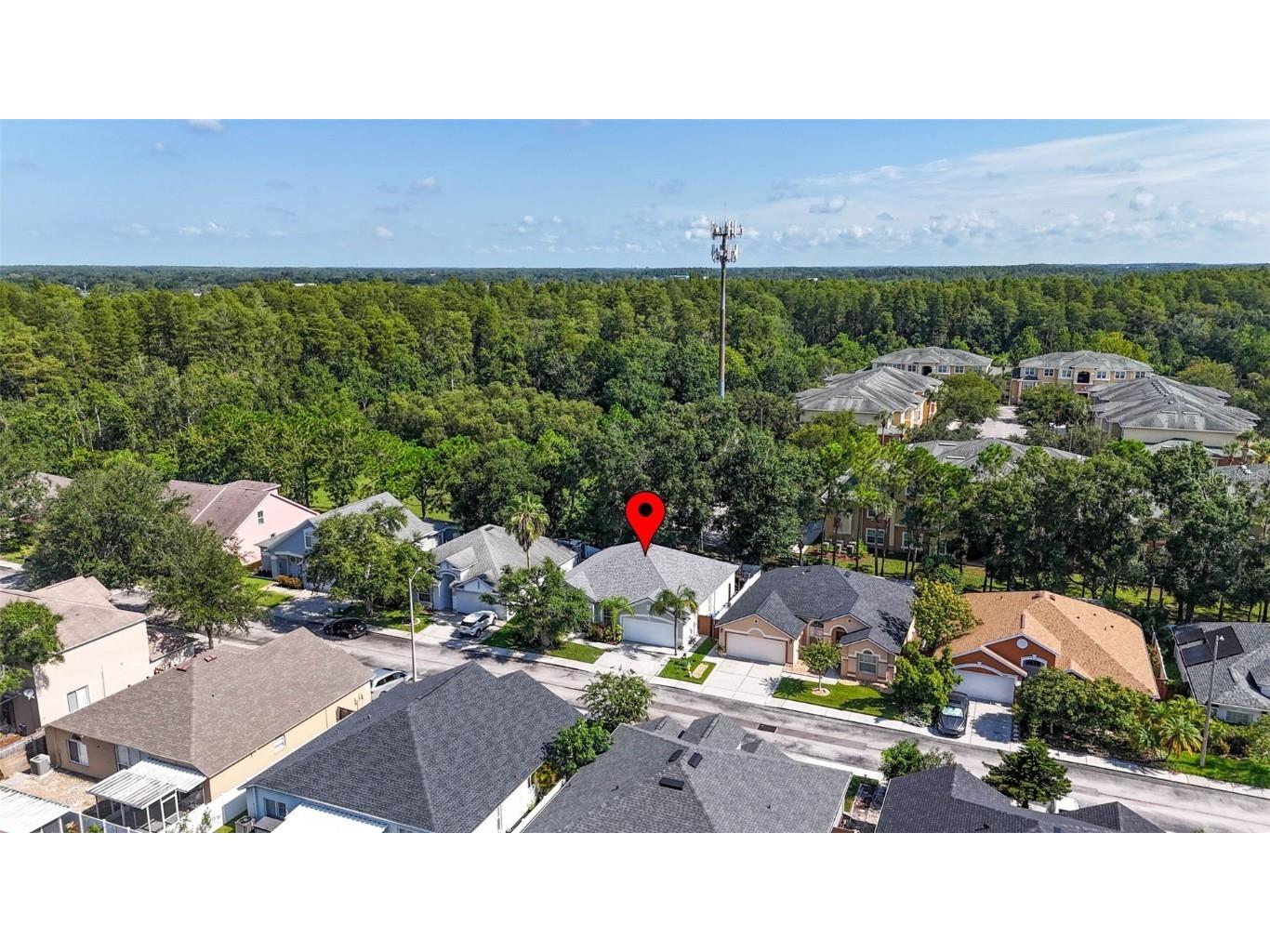 8853 Cypress Hammock Drive Tampa FL 33614 TB8446653 image2