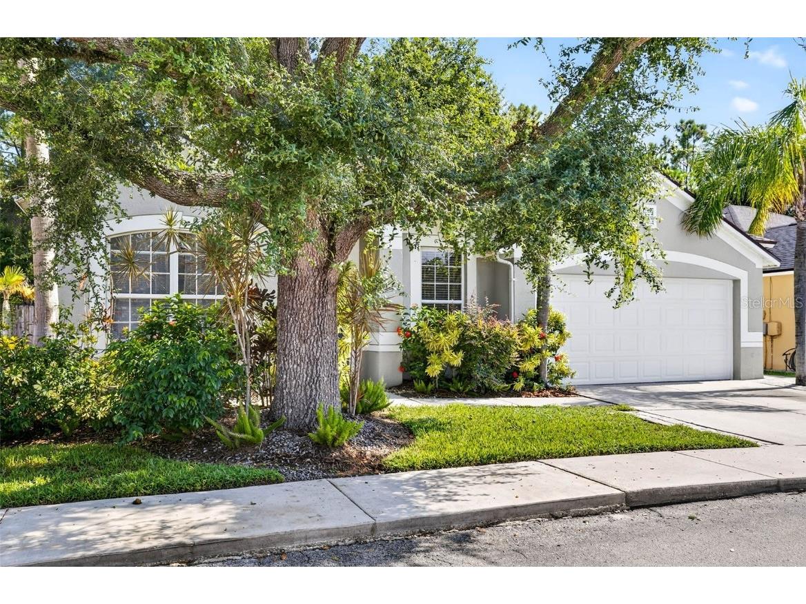 8853 Cypress Hammock Drive Tampa FL 33614 TB8446653 image3