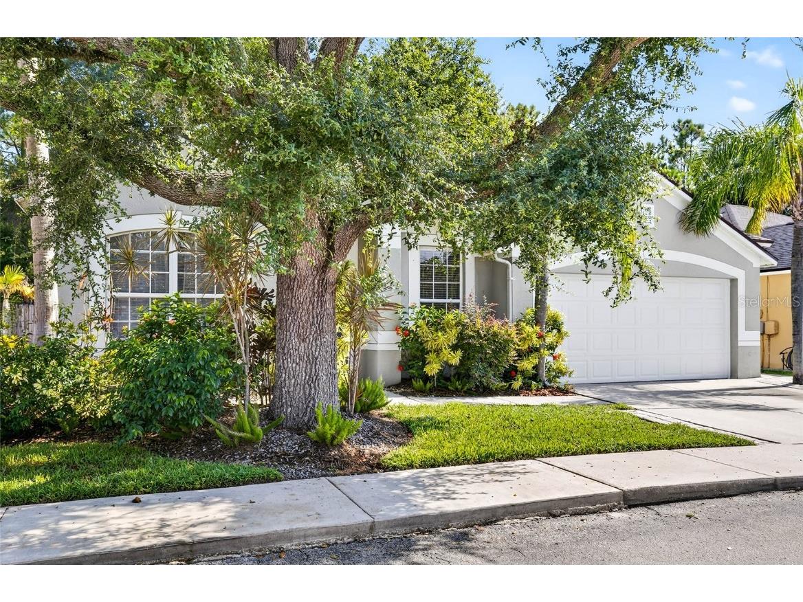 8853 Cypress Hammock Drive Tampa FL 33614 TB8446653 image39