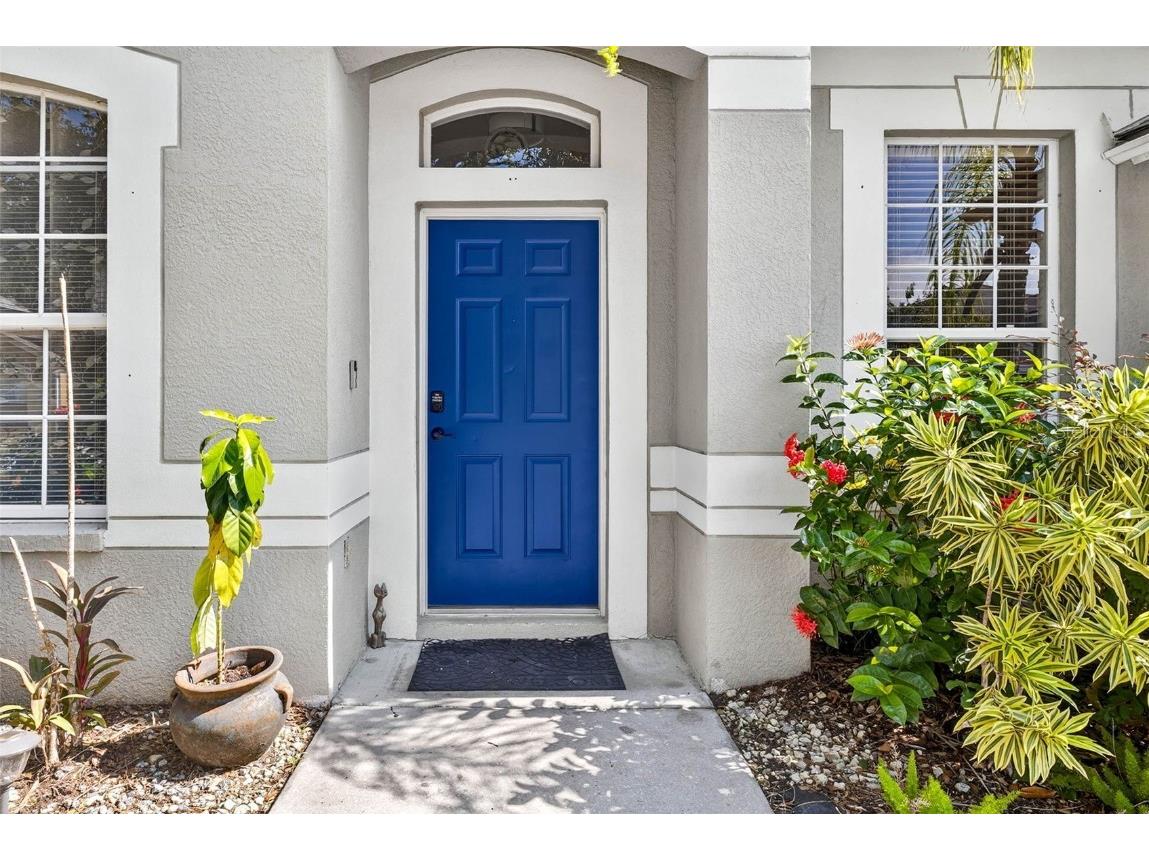 8853 Cypress Hammock Drive Tampa FL 33614 TB8446653 image4