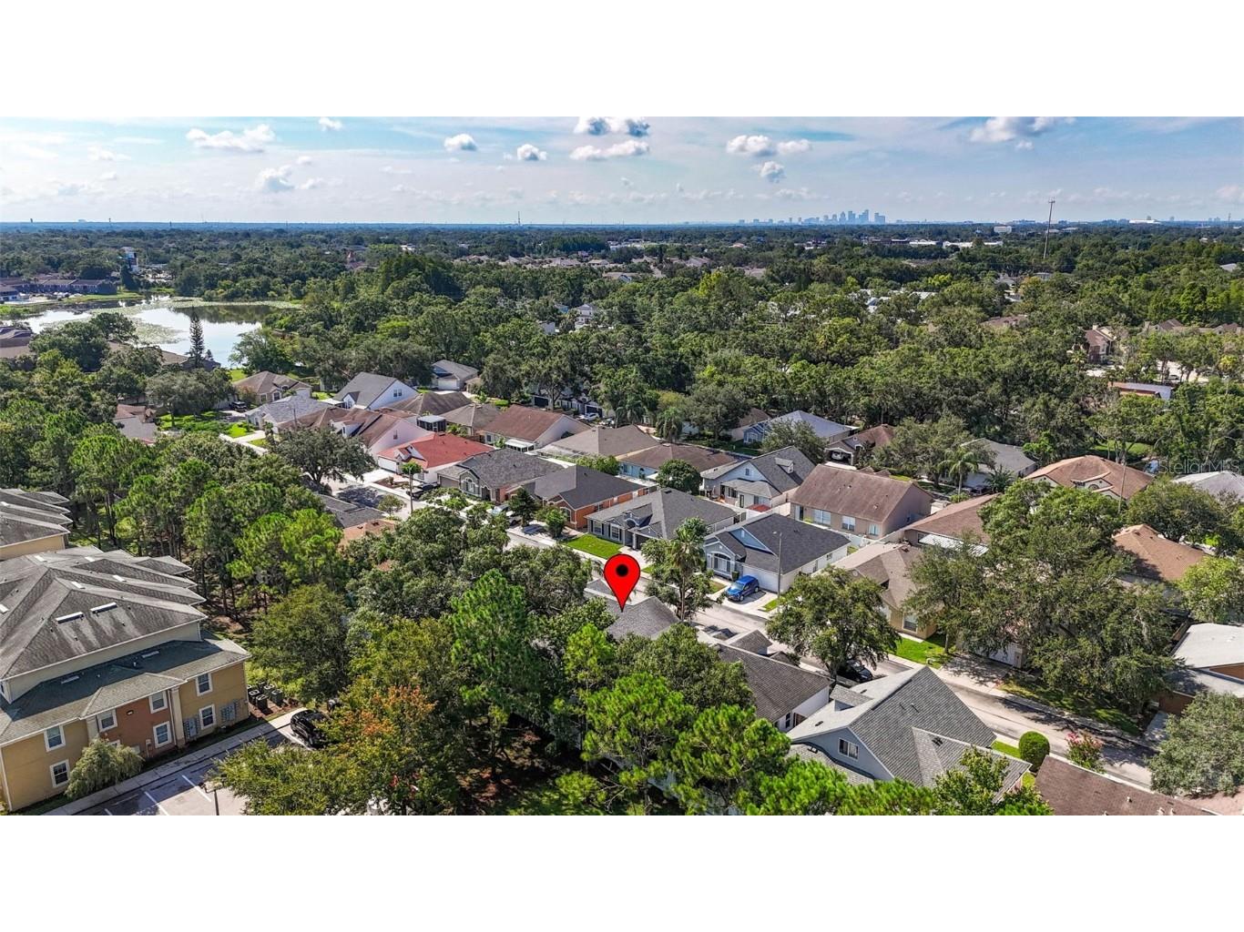 8853 Cypress Hammock Drive Tampa FL 33614 TB8446653 image7