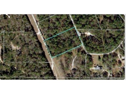 8854 Flicker Road Tallahassee FL 32305 O6298947 image3