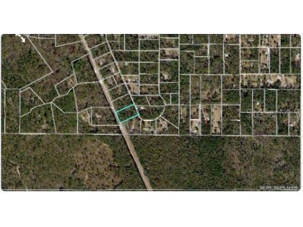 8854 Flicker Road Tallahassee FL 32305 O6298947 image5