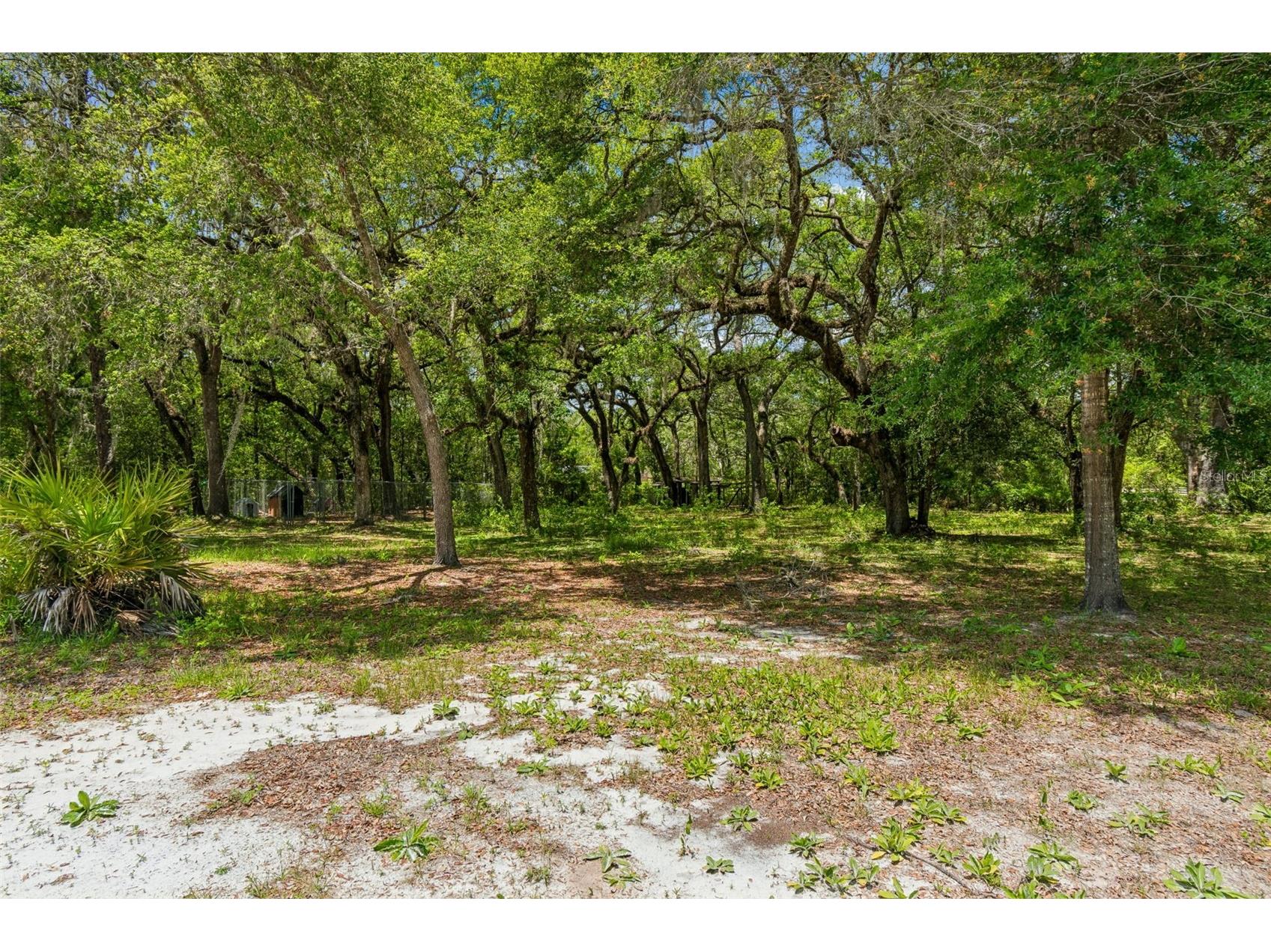 8855 SW 146th Place Dunnellon FL 34432 TB8515200 image46