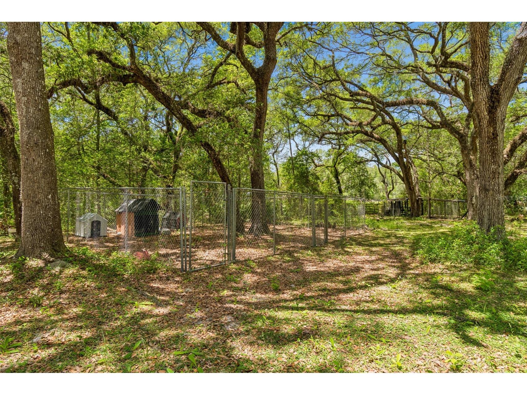 8855 SW 146th Place Dunnellon FL 34432 TB8515200 image47