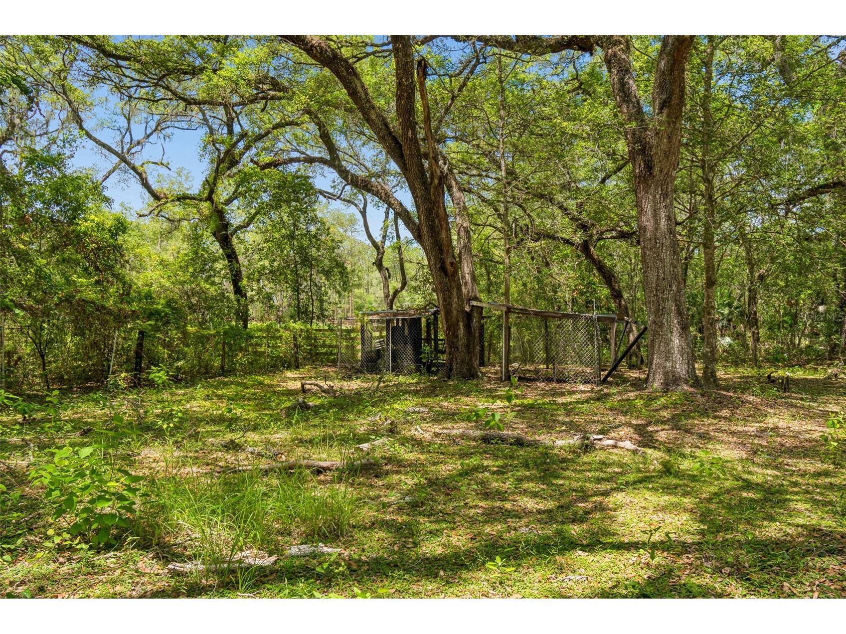 8855 SW 146th Place Dunnellon FL 34432 TB8515200 image48