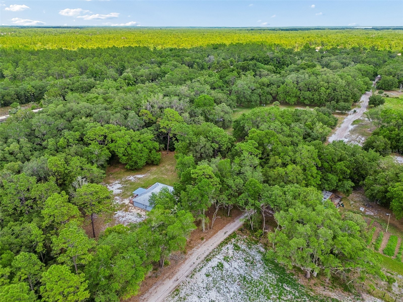 8855 SW 146th Place Dunnellon FL 34432 TB8515200 image58