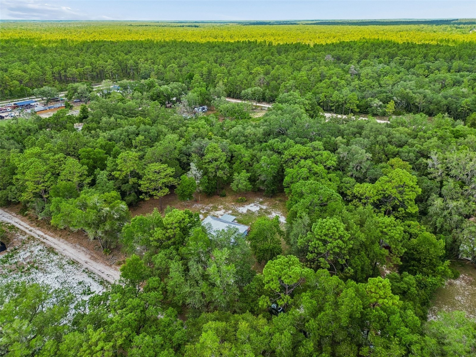 8855 SW 146th Place Dunnellon FL 34432 TB8515200 image59