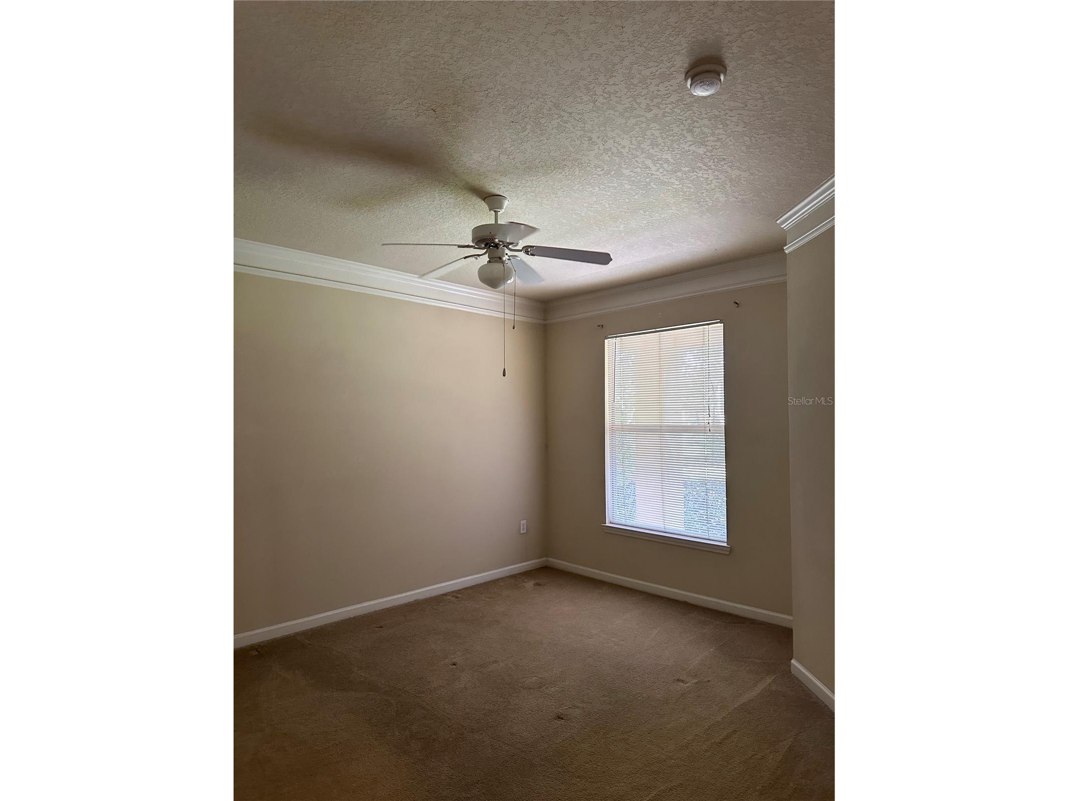 8855 Villa View Circle #105 Orlando FL 32821 S5151301 image10