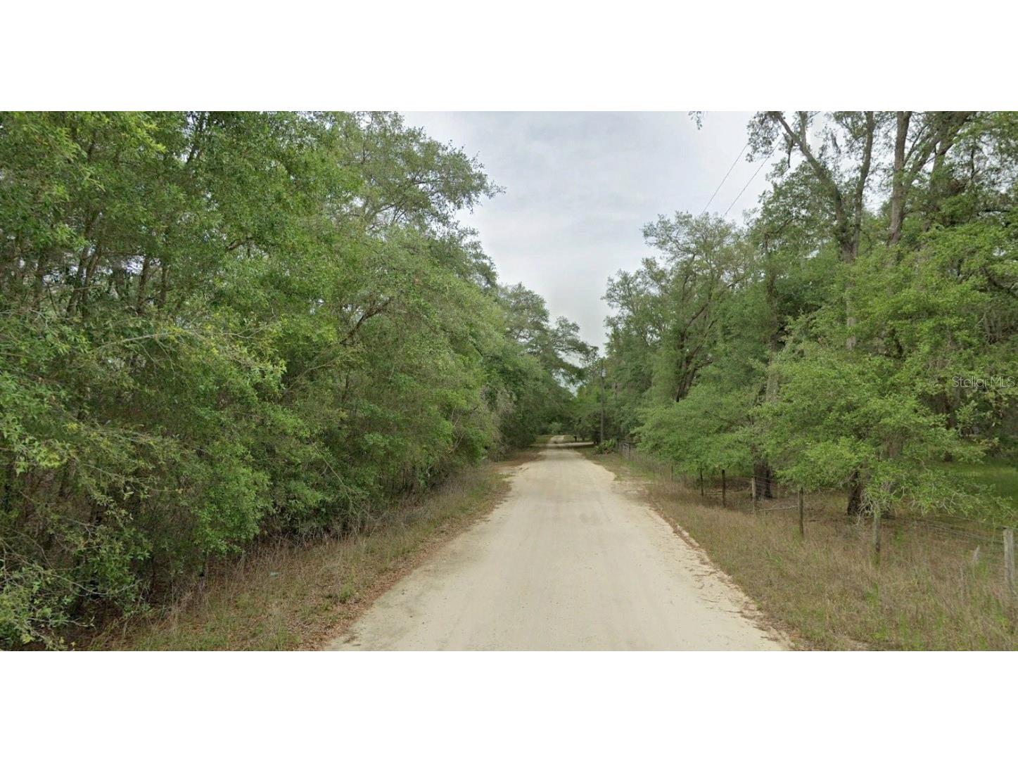 8856 N Himalayas Point Dunnellon FL 34433 TB8453393 image10