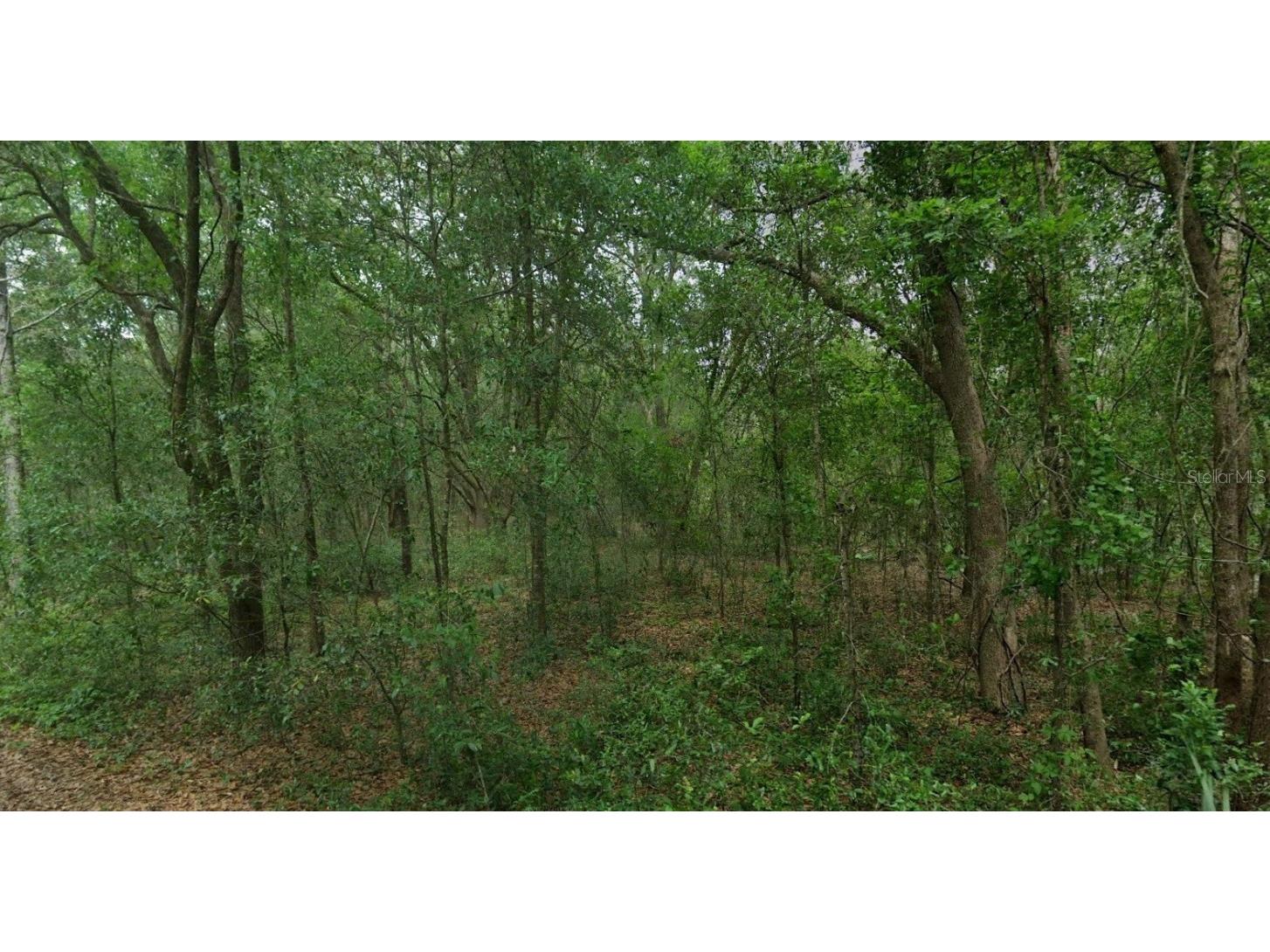 8856 N Himalayas Point Dunnellon FL 34433 TB8453393 image5