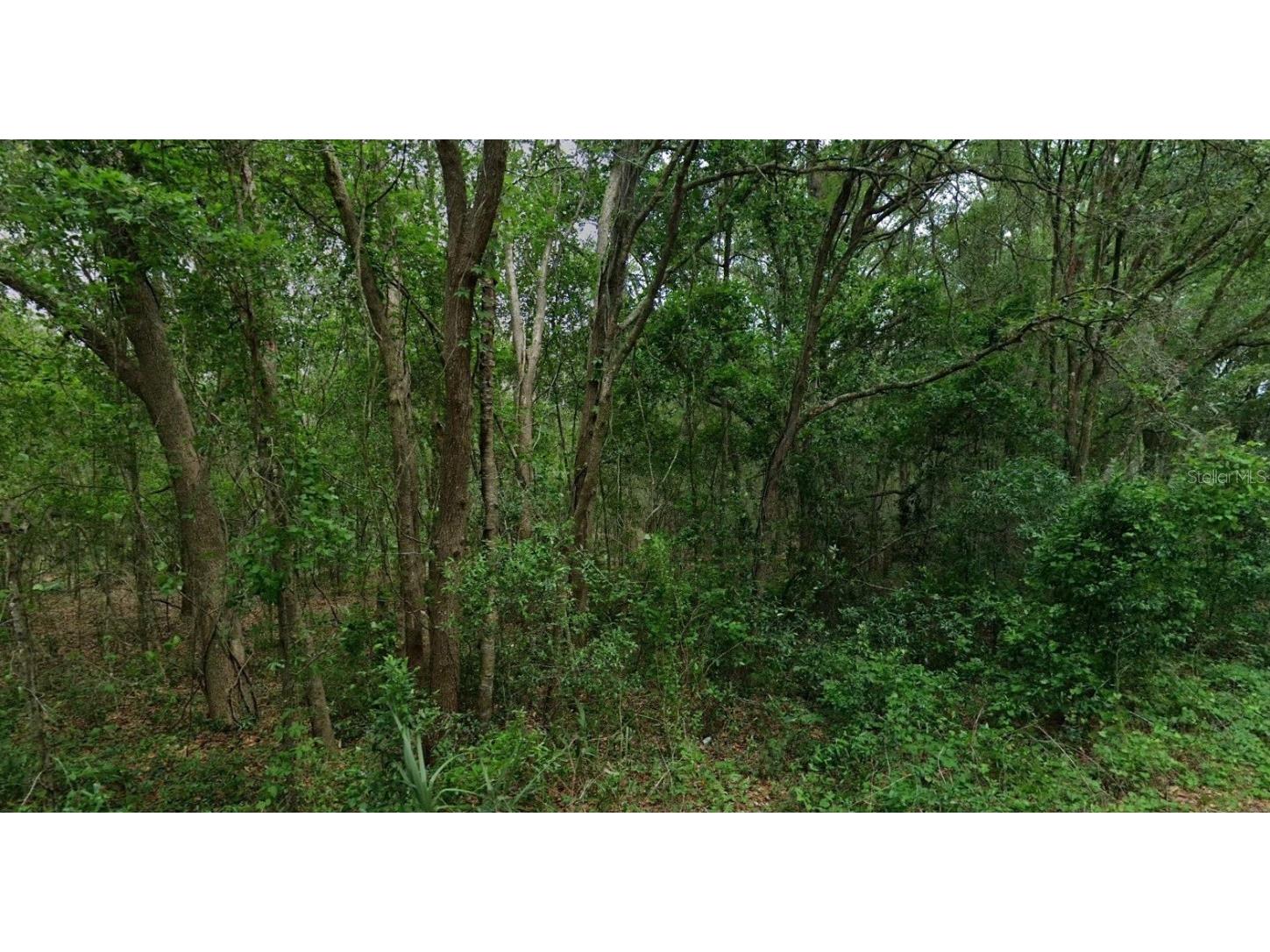 8856 N Himalayas Point Dunnellon FL 34433 TB8453393 image6