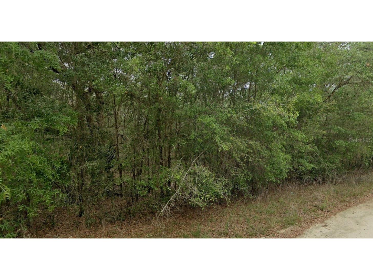 8856 N Himalayas Point Dunnellon FL 34433 TB8453393 image7