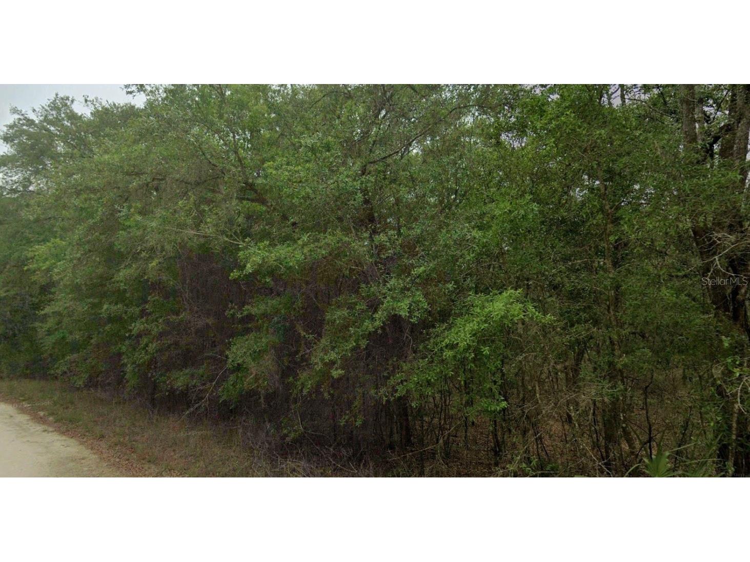 8856 N Himalayas Point Dunnellon FL 34433 TB8453393 image8