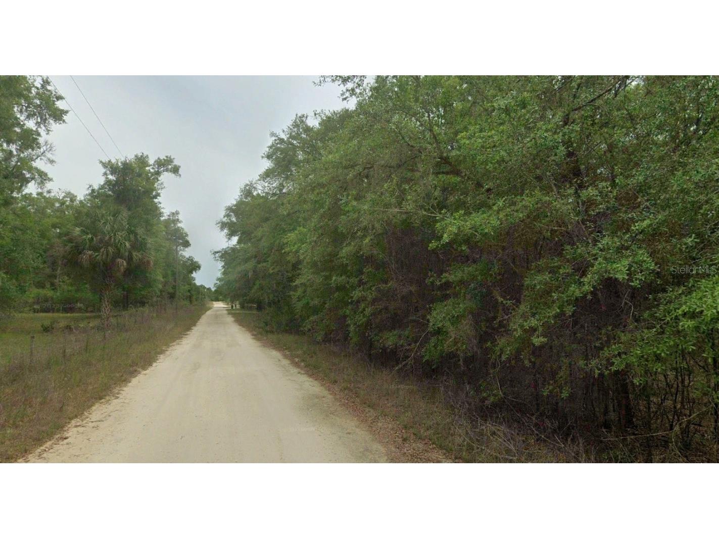 8856 N Himalayas Point Dunnellon FL 34433 TB8453393 image9