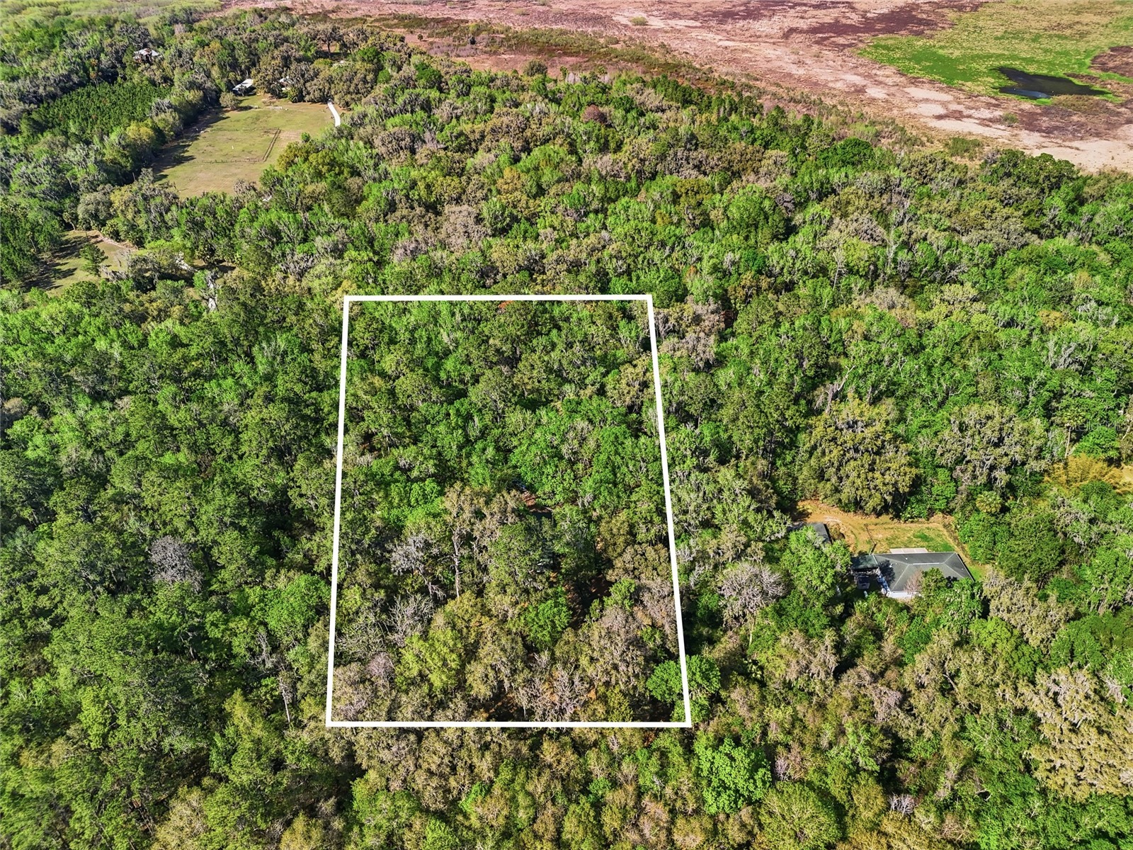 8856 NW 230th Street Micanopy FL 32667 GC537955 image29