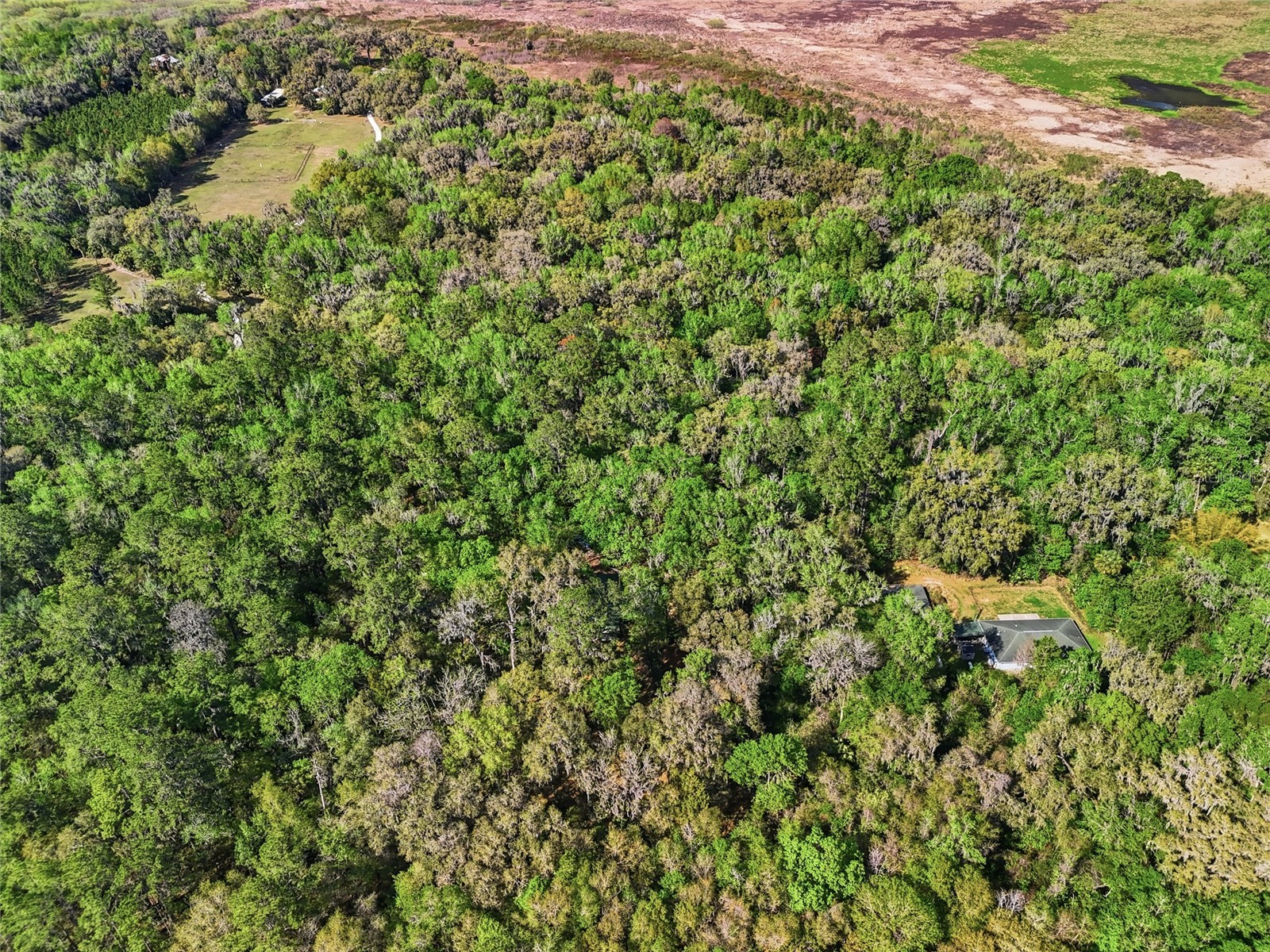 8856 NW 230th Street Micanopy FL 32667 GC537955 image30