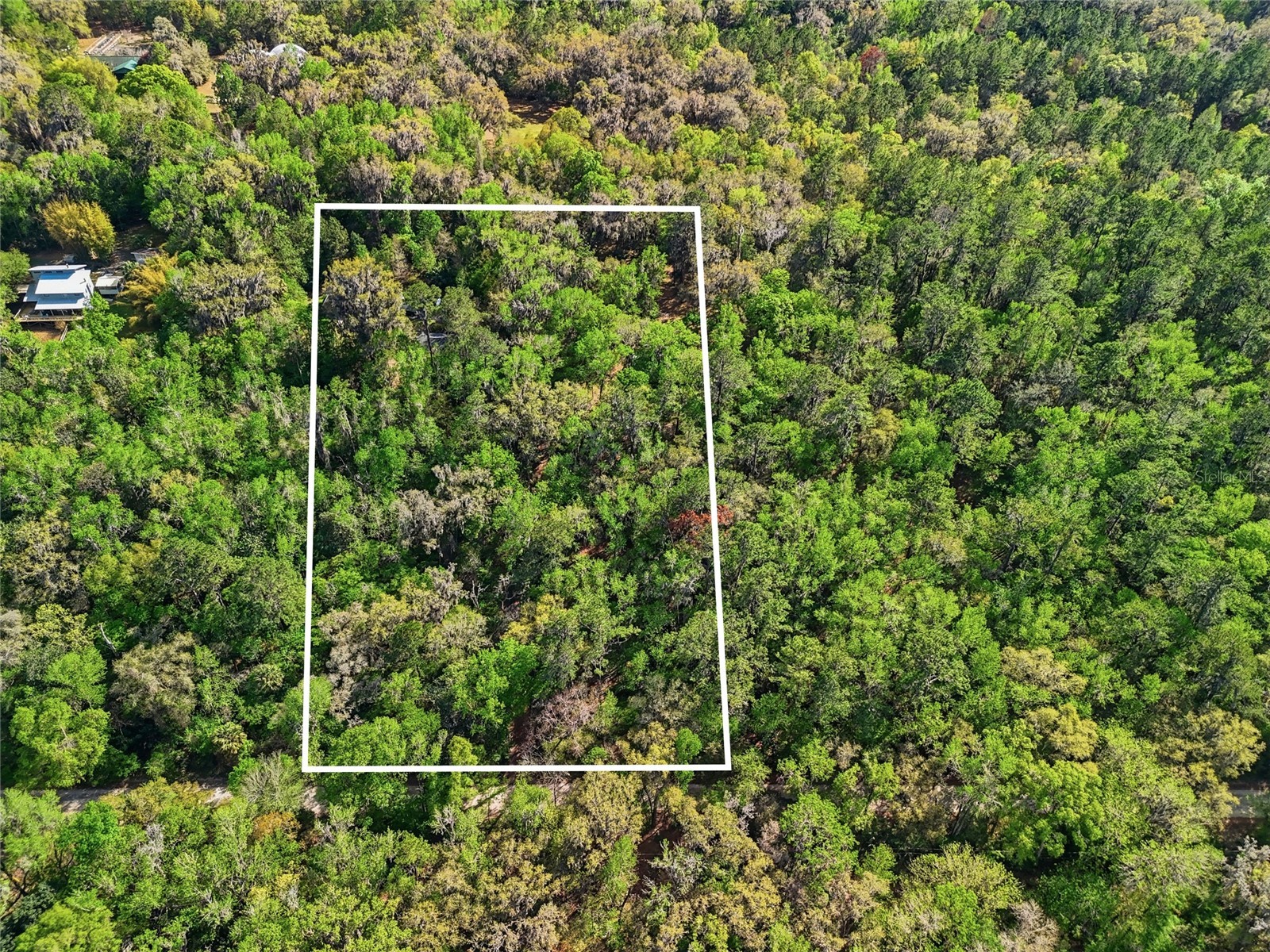 8856 NW 230th Street Micanopy FL 32667 GC537955 image31